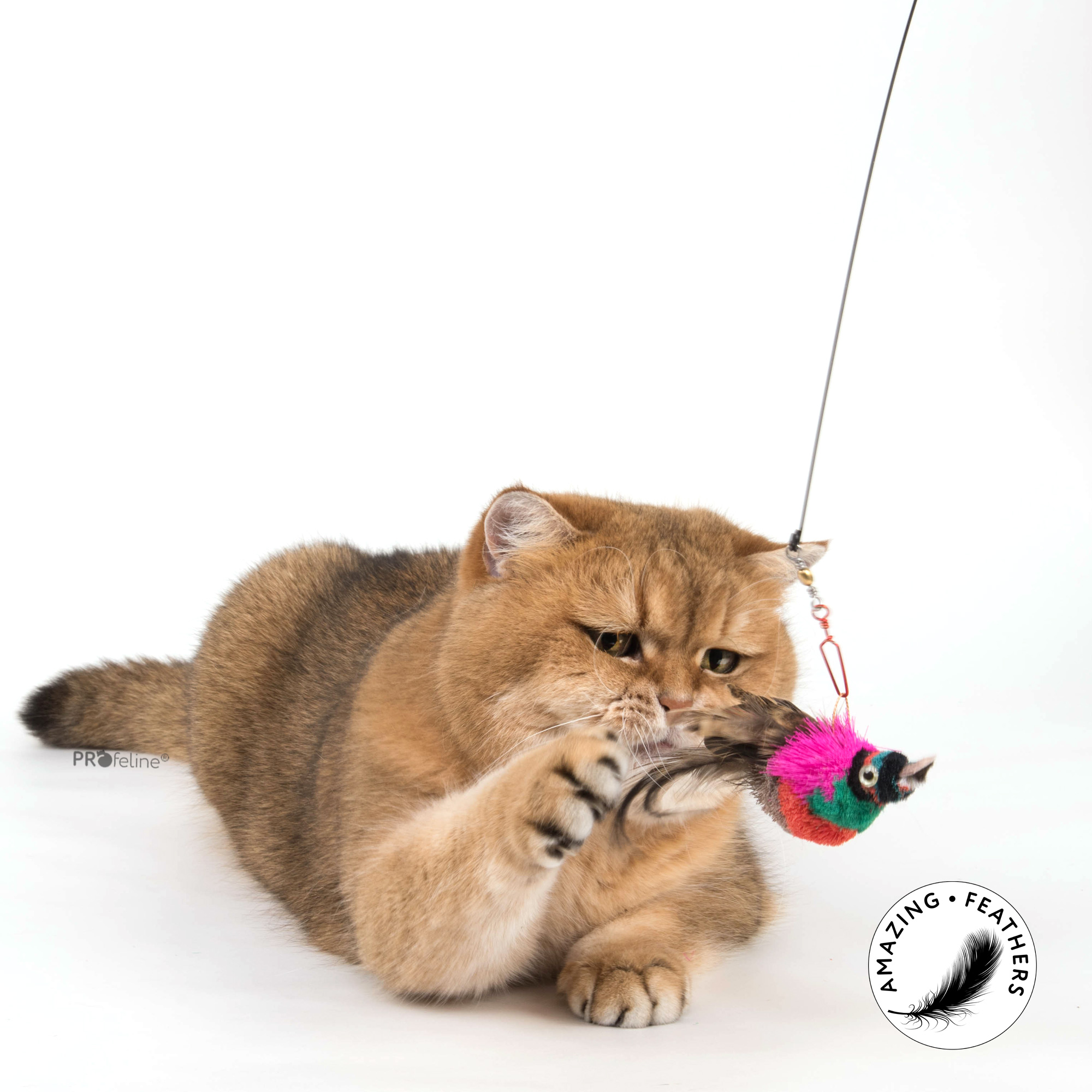 Ersatzanhänger Katzenangel Vogel bunt