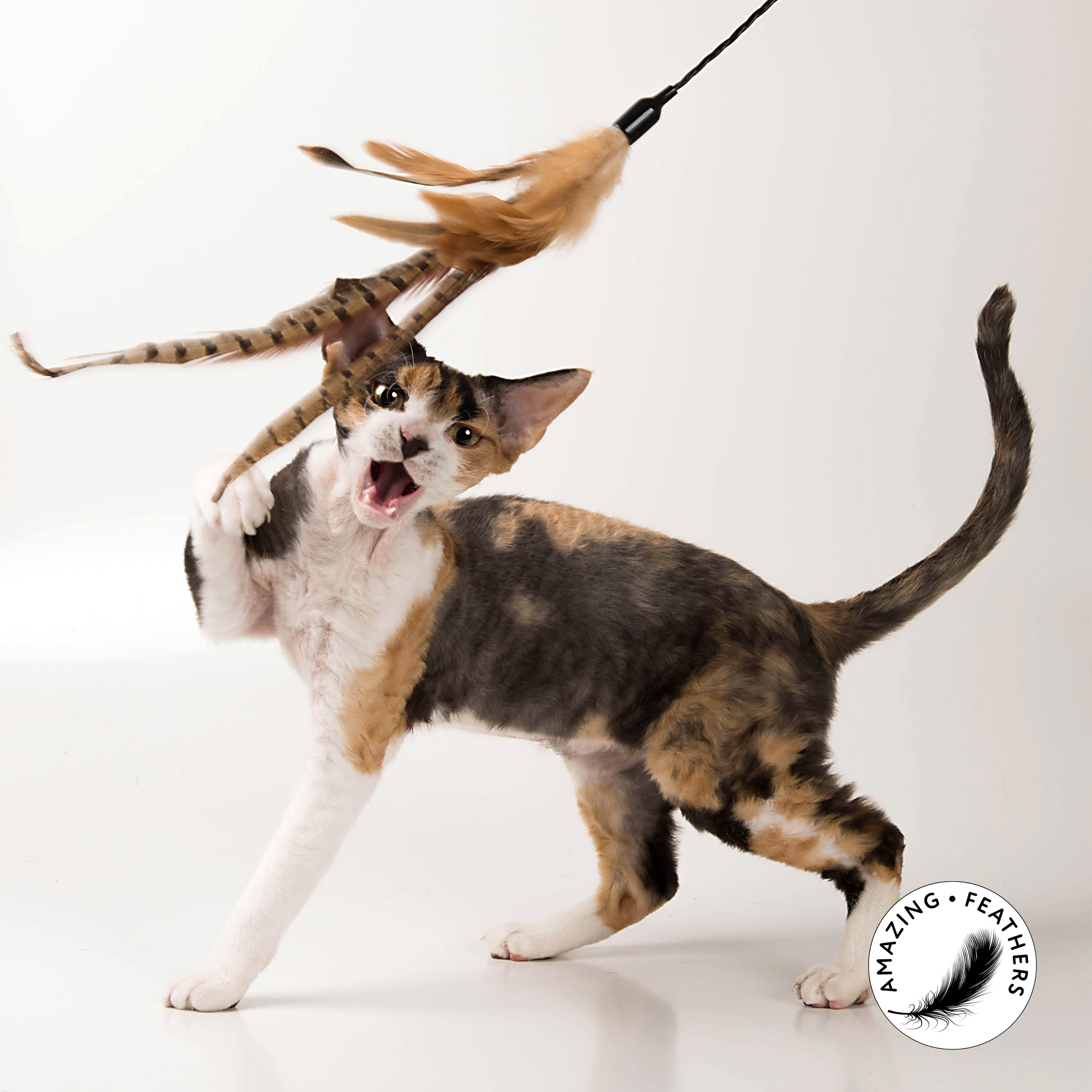 Katzen Federwedel natürliche Federn