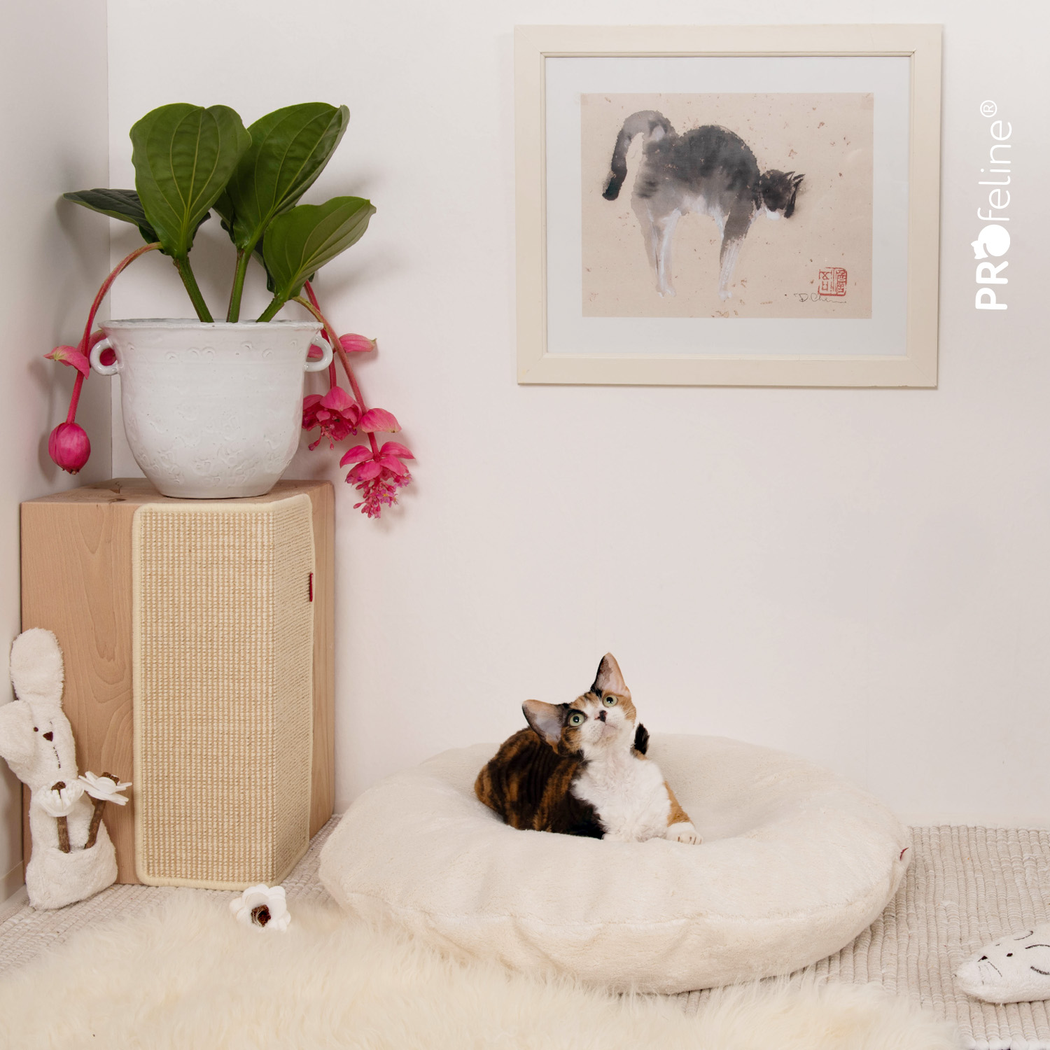Katzenzimmer mit waschbaren Katenbett in Baumwolle