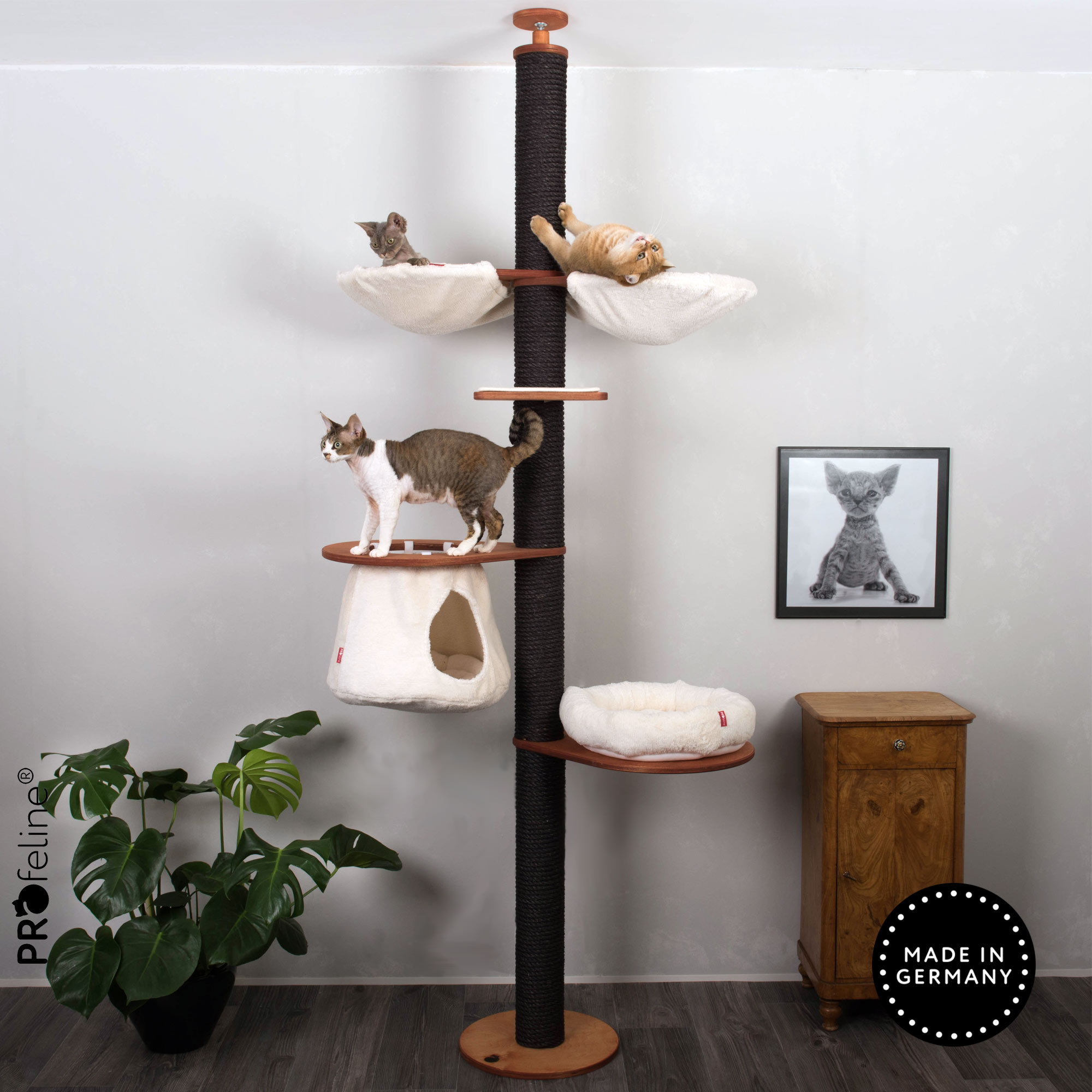 Ceiling Cat Tree Model Leonie Beliebter Deckenhoher Kratzbaum , Klettnissen Natur