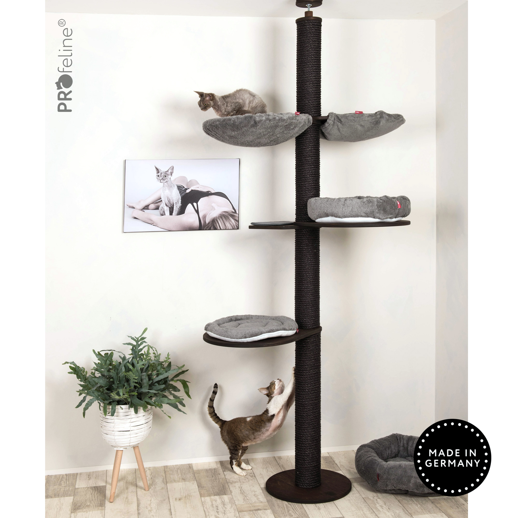 Deckenspanner kratzbaum grau schwarz