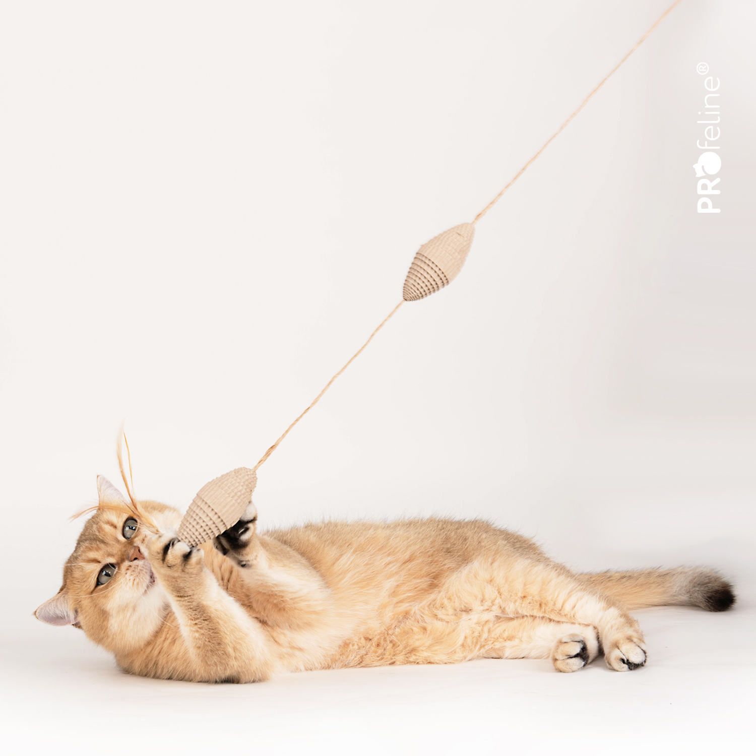 Rolling Cardboard Attachment Katzenspielzeug aus Pappe mit Katzenminze