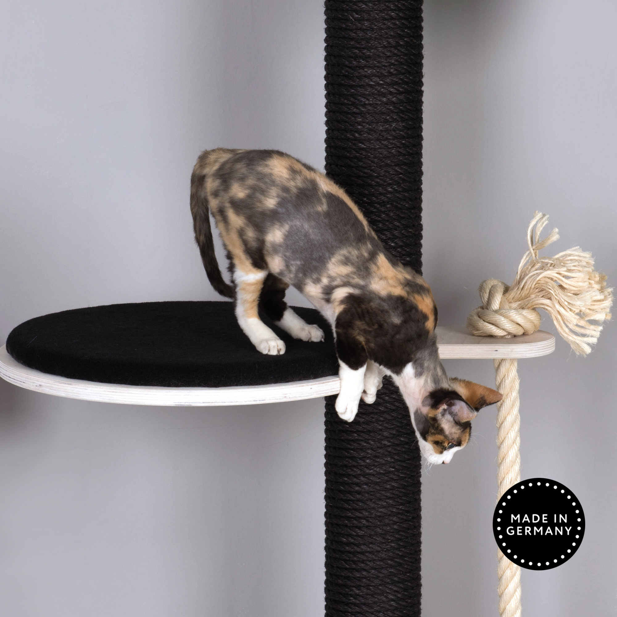 Liegeebene modern Kratzbaum schwarz