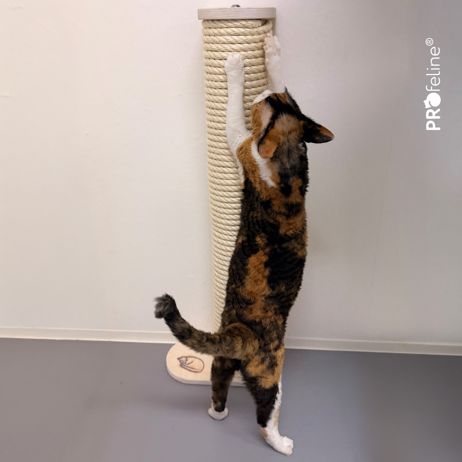 Scratching Post