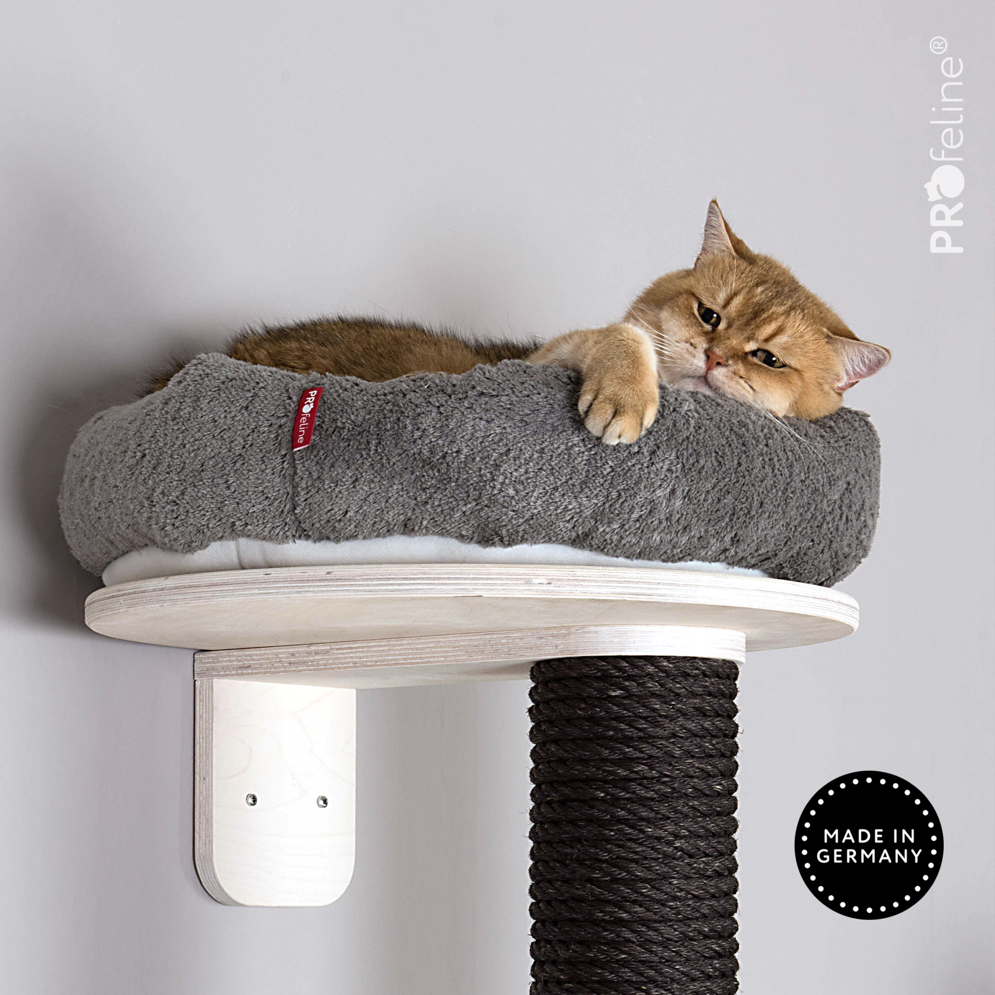 Weiss, Katzenbett Classicsilber