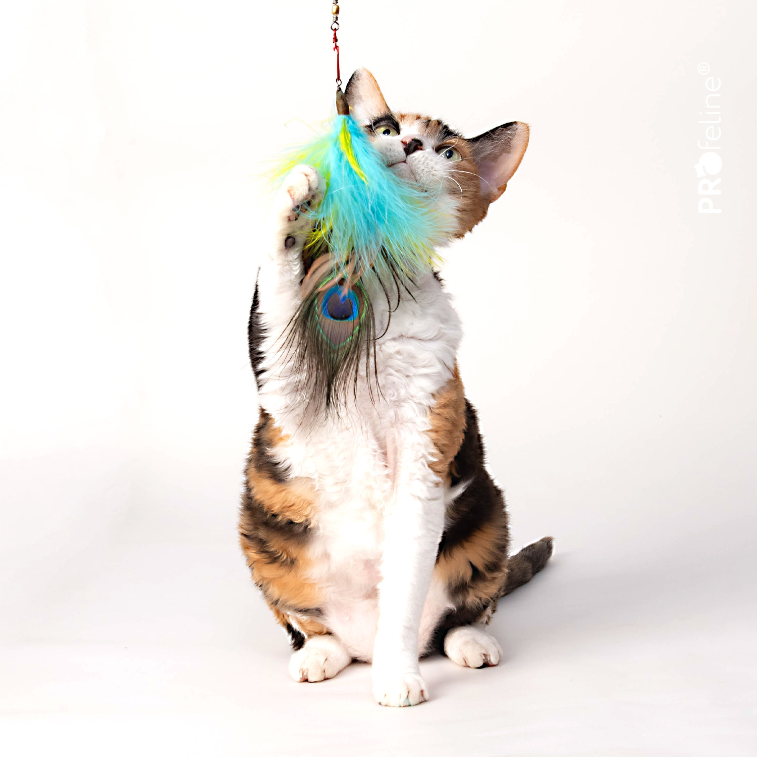 Katzenspielzeug Federanhänger für Katzenangel grün Pfauenfeder