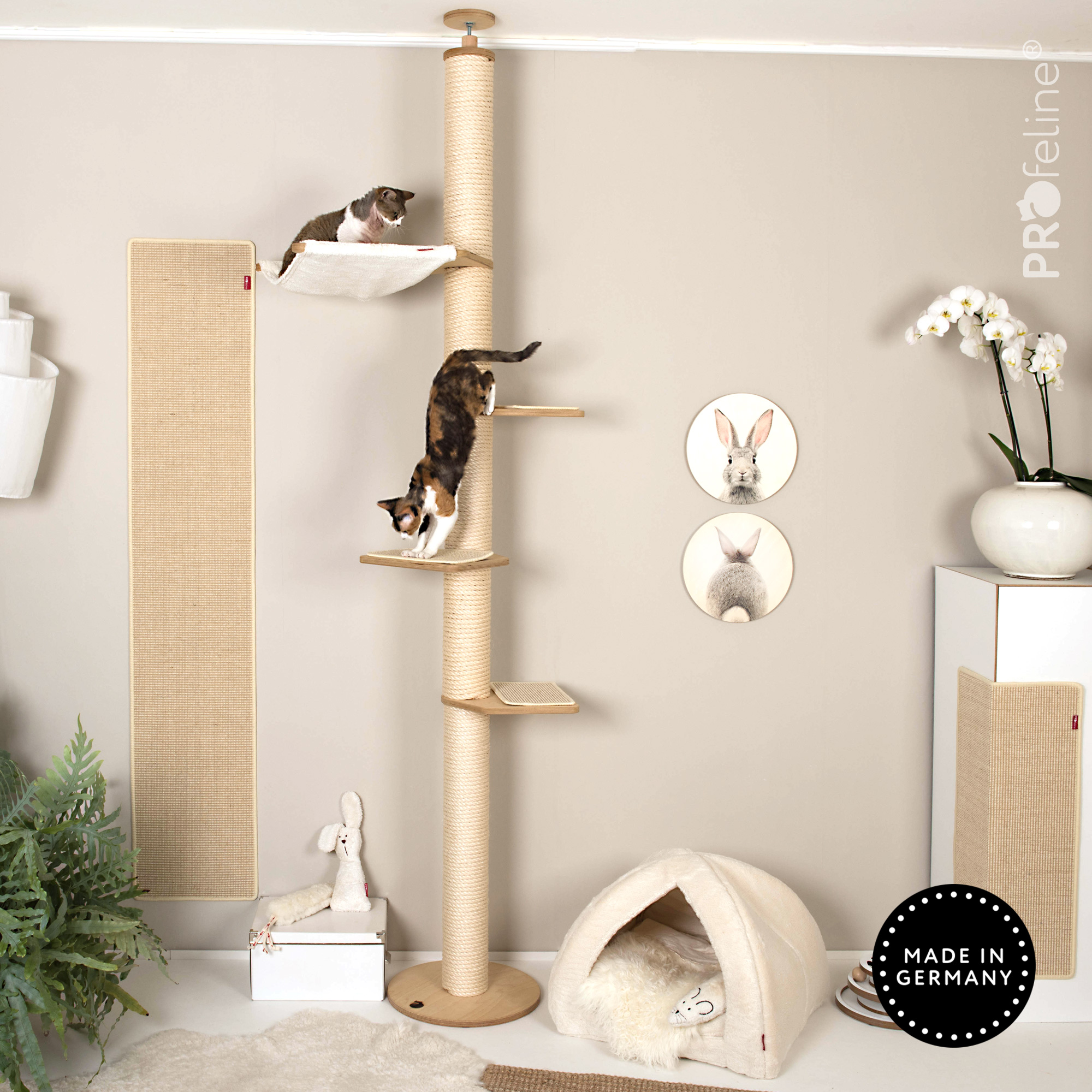 Cat Climbing Tree Kletterbaum Hängematte
