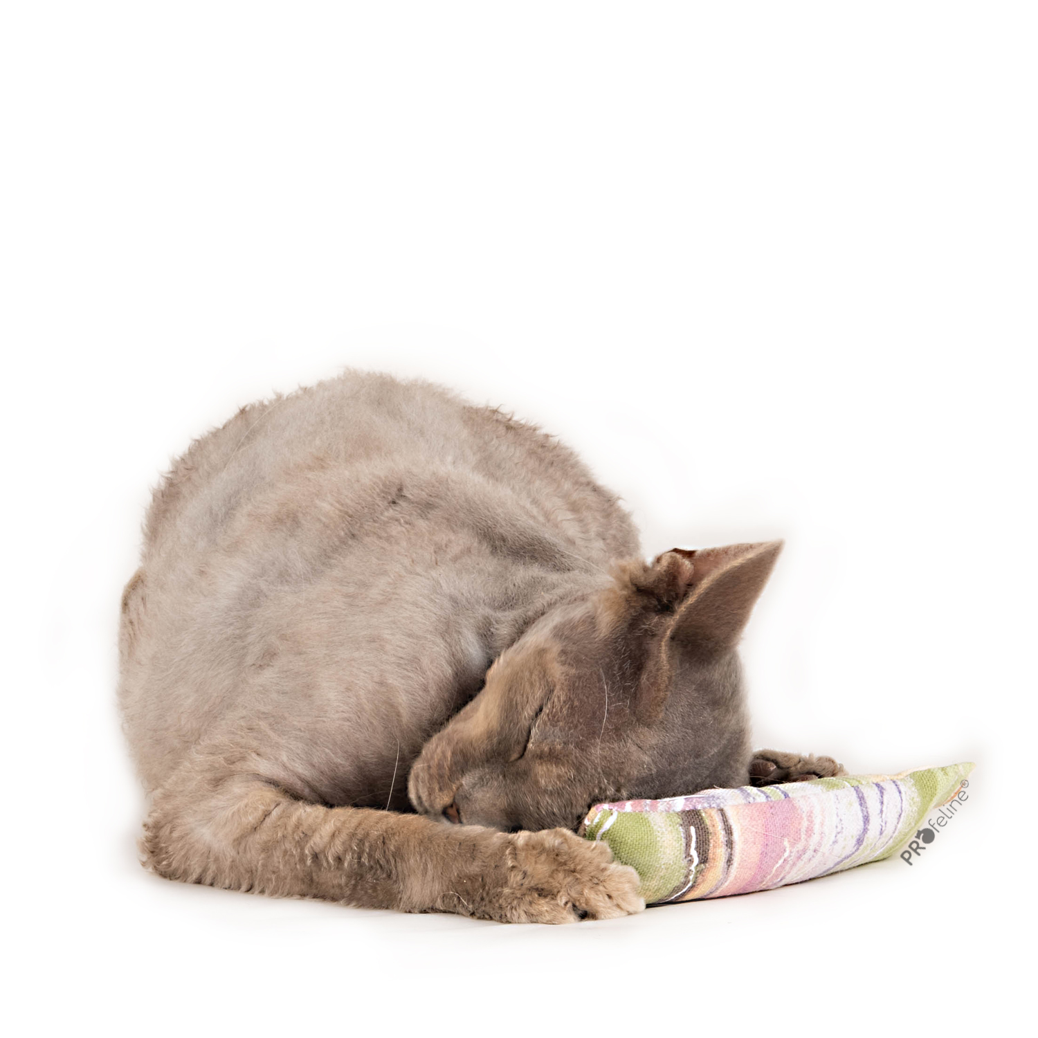 Krazy Kitty - Cat Tail Krazy Kitty Katzenspielzeug mit Katzenminze aus Kanada