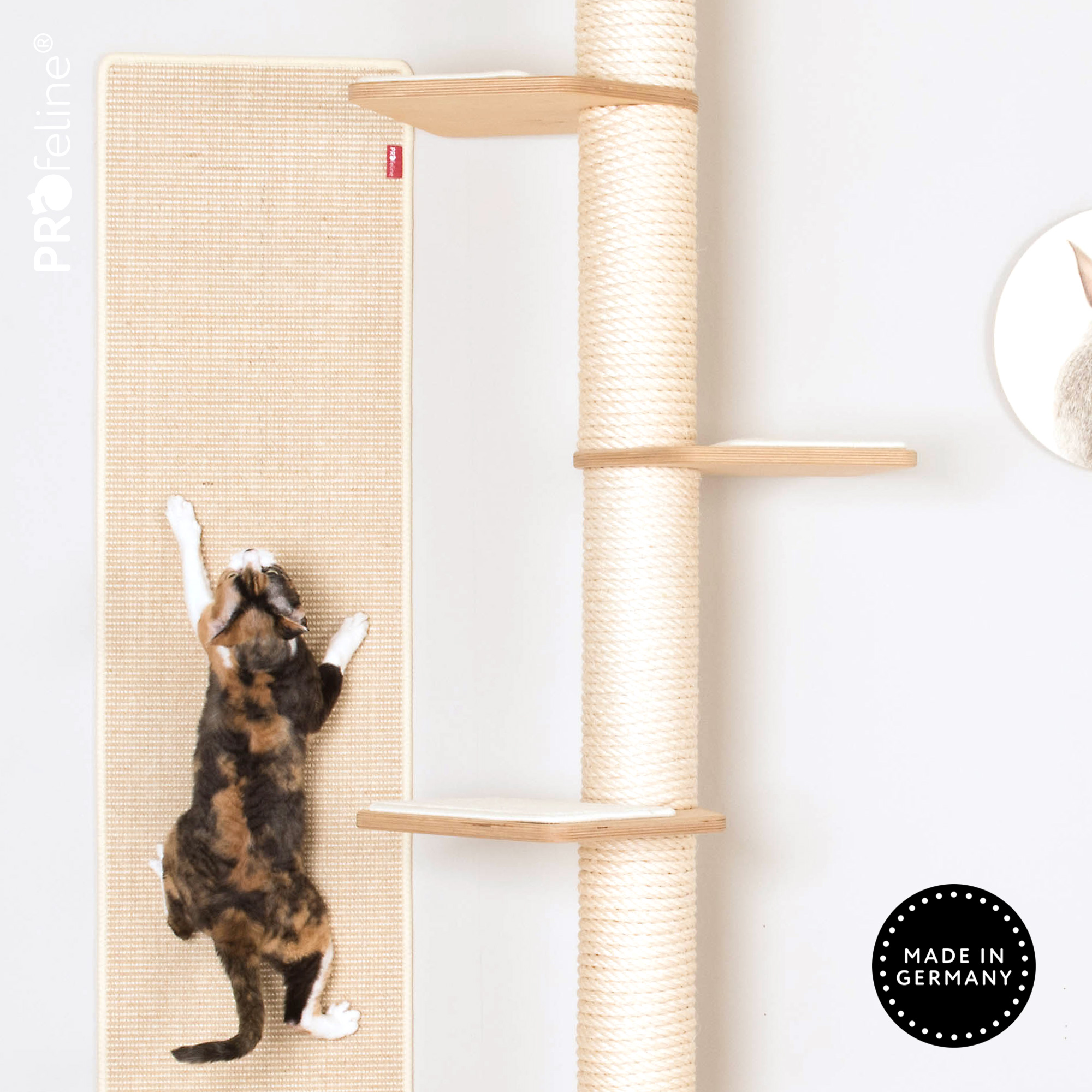 Wandkletterteppich Katzen Wandkletterteppich hell