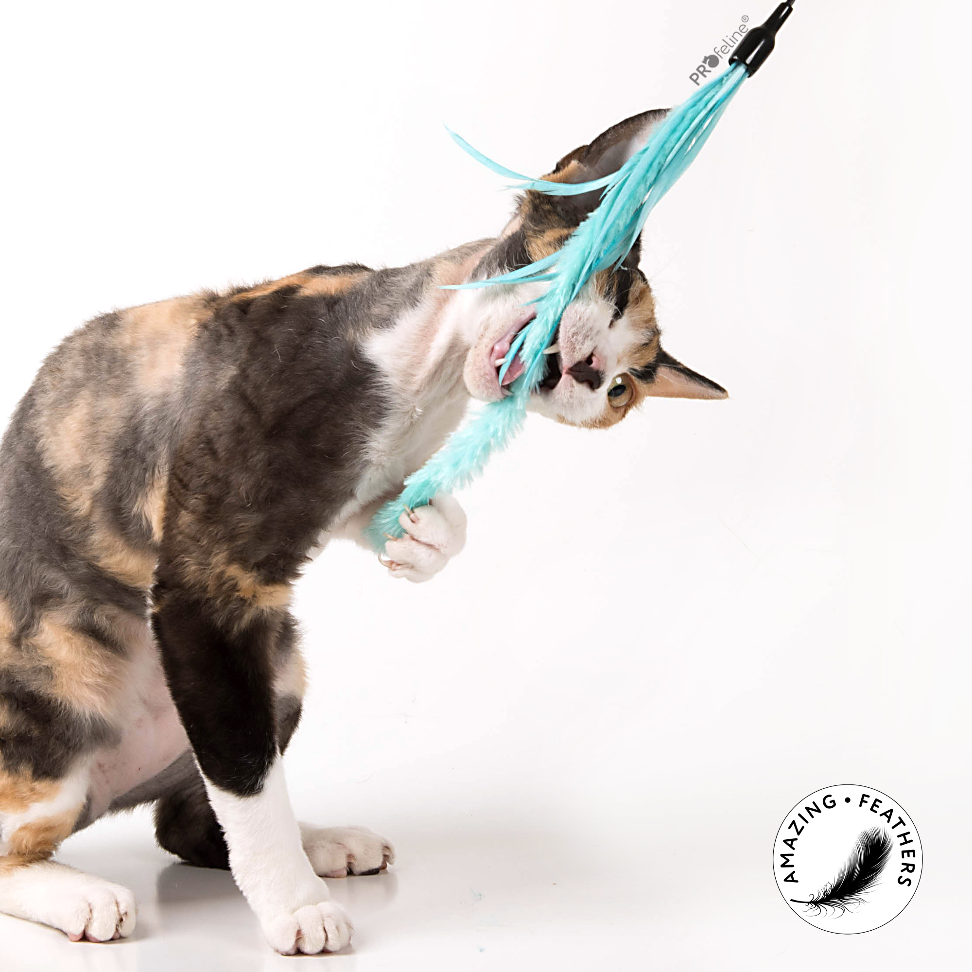 Profeline - Teaser Pipe Wiper Katzenwedel für Katzen piper