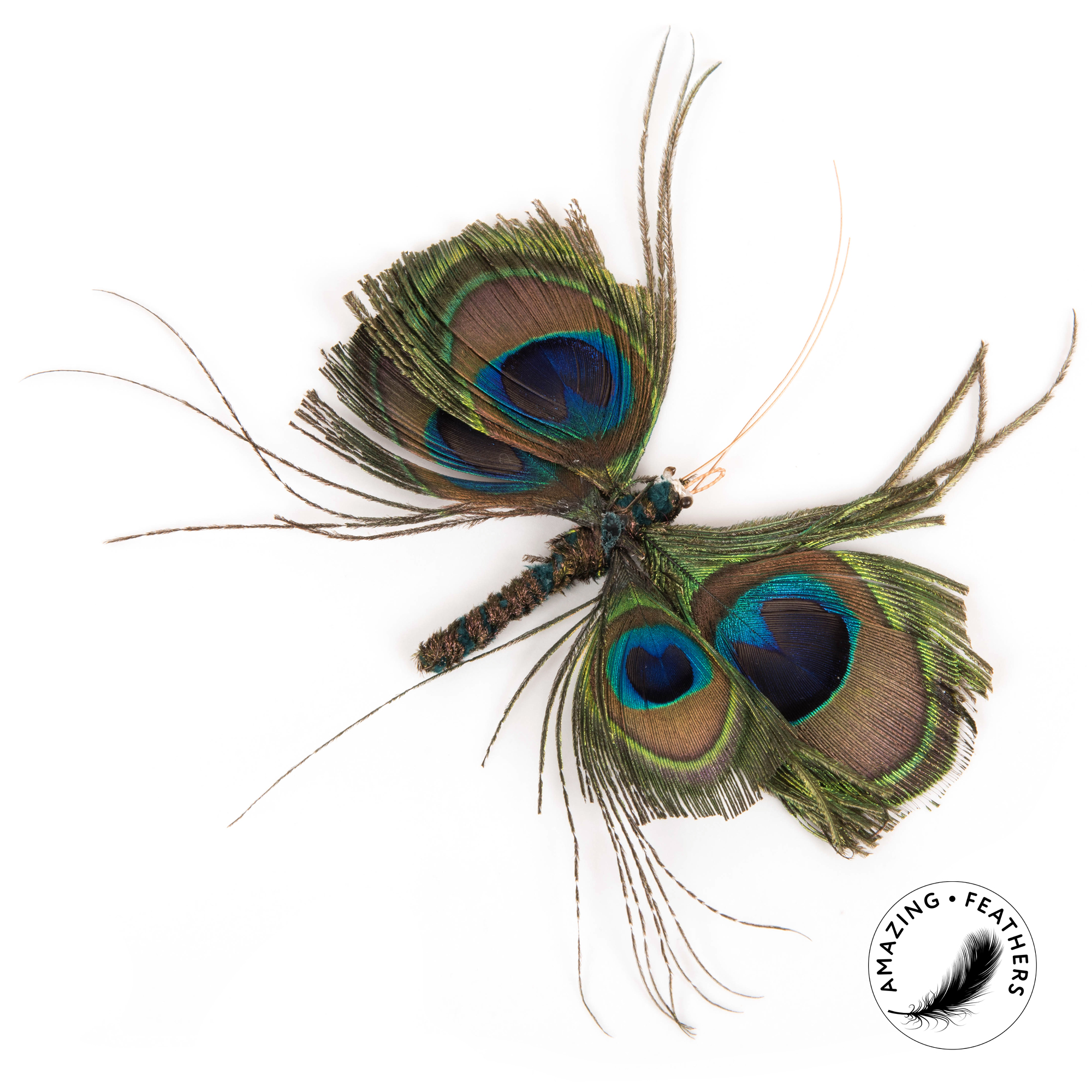 cat-toys-papillon-peacock-refill-SP195PC-1 Profeline - Papillon Peacock Refill