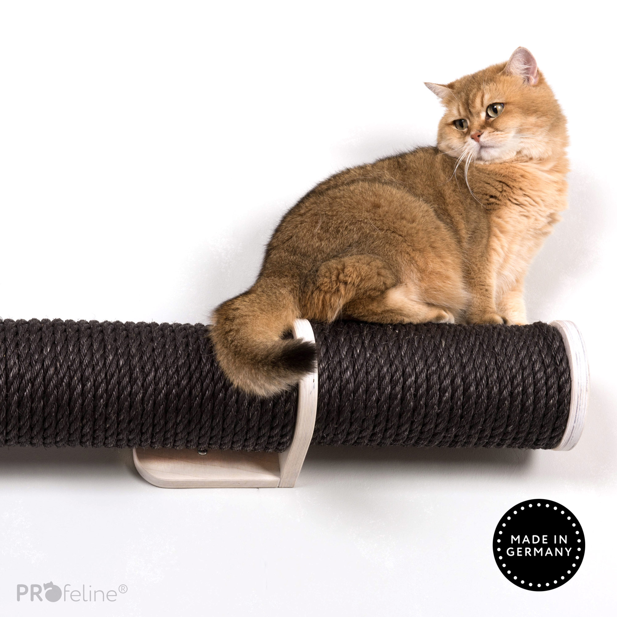 katzen-laufsteg-runway-katze-schwarz-1 Sisal Black, Wood White