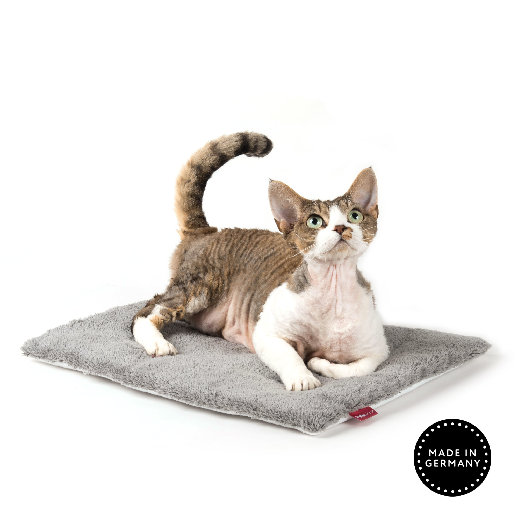 Cotton Insert Classicsilver Katzen Einlage grau