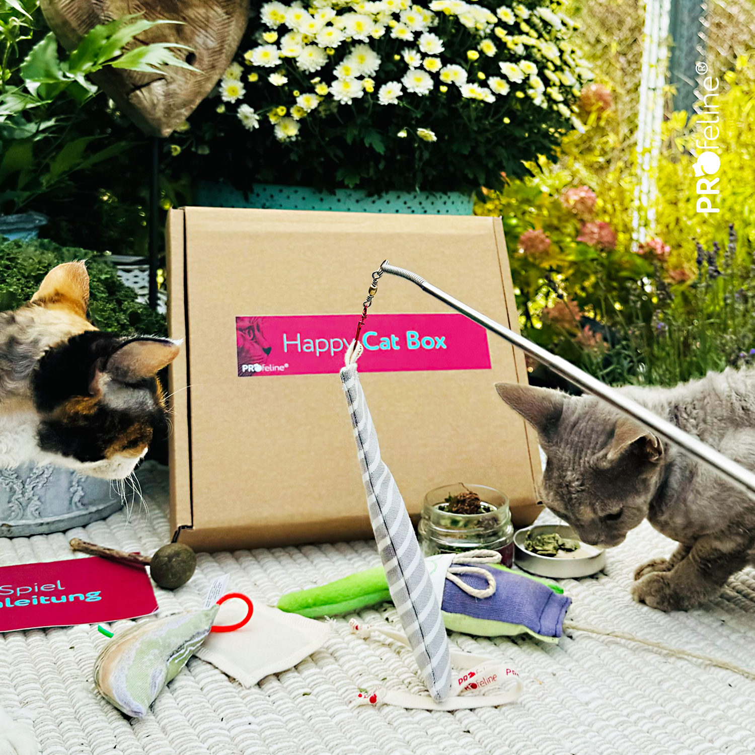Profeline Happy Cat Box - SpringTime Happy Cat Box Katzen Kräuter aus den USA