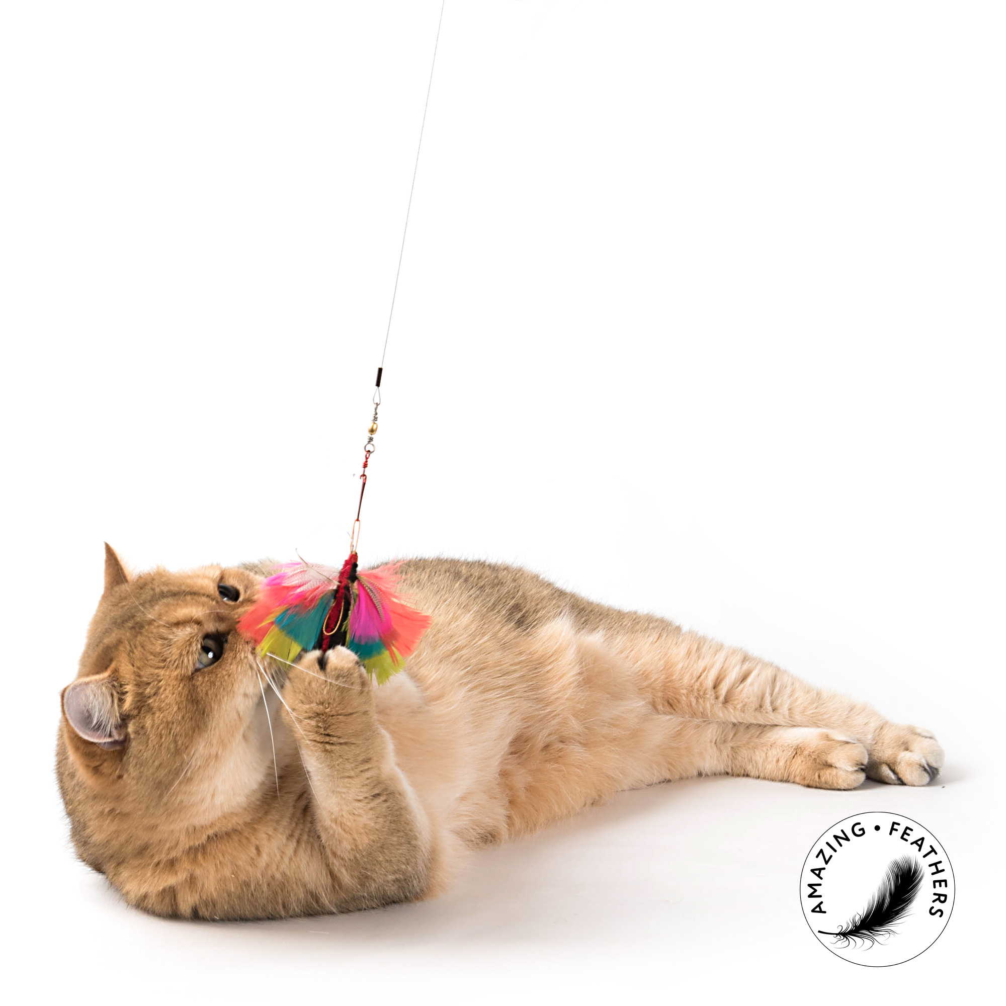 cat-toy-ersatzanhaenger-refill-butterfly