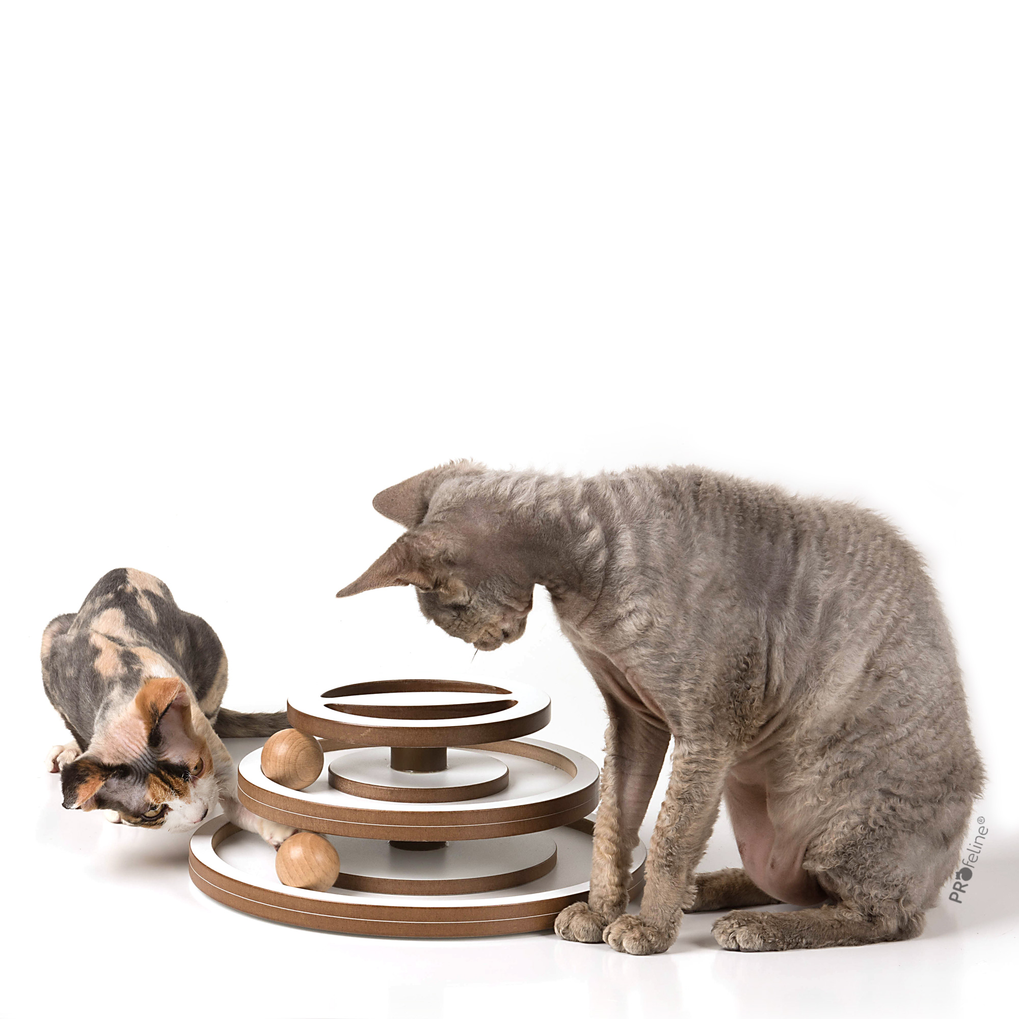 Kitty Tracks Cats Play Tower Wooden Cat Track