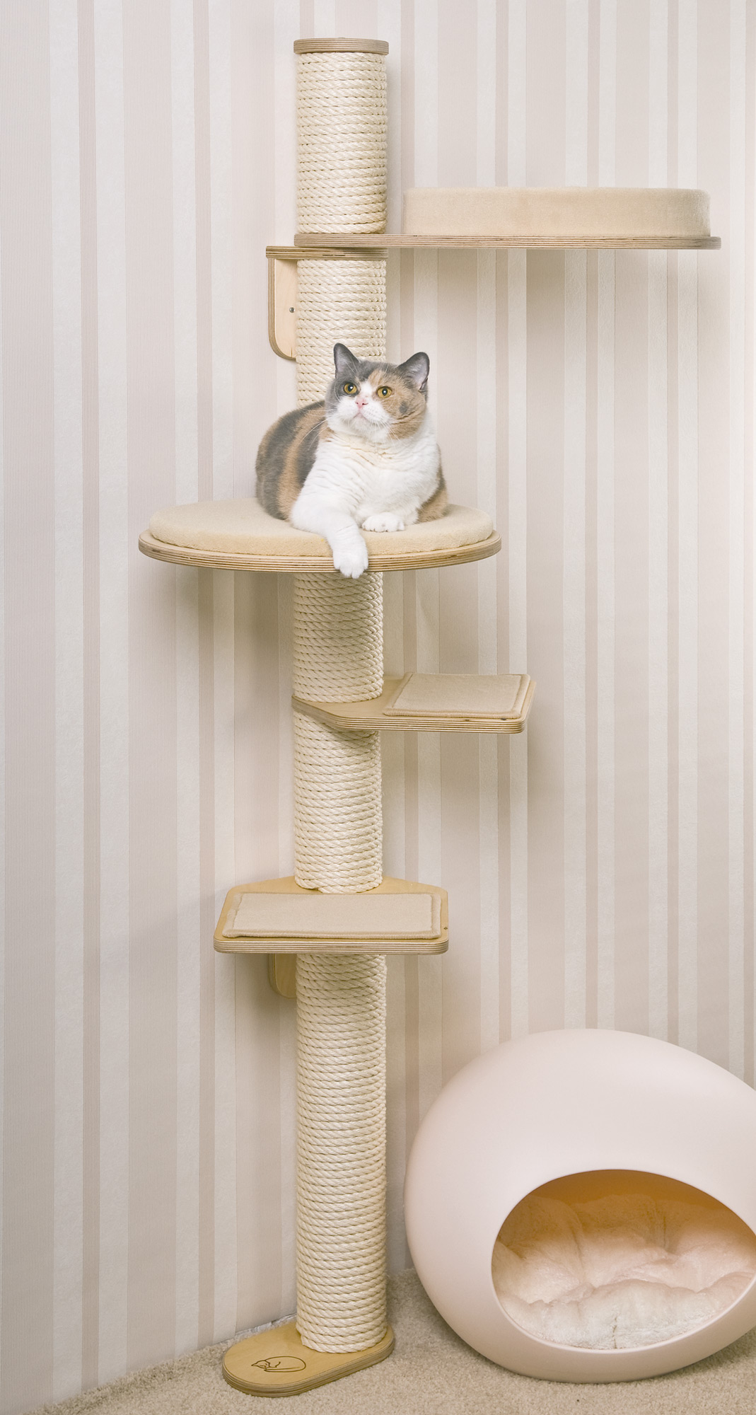 Wall Supported Cat Tree Model Nico WK331M - Main Image