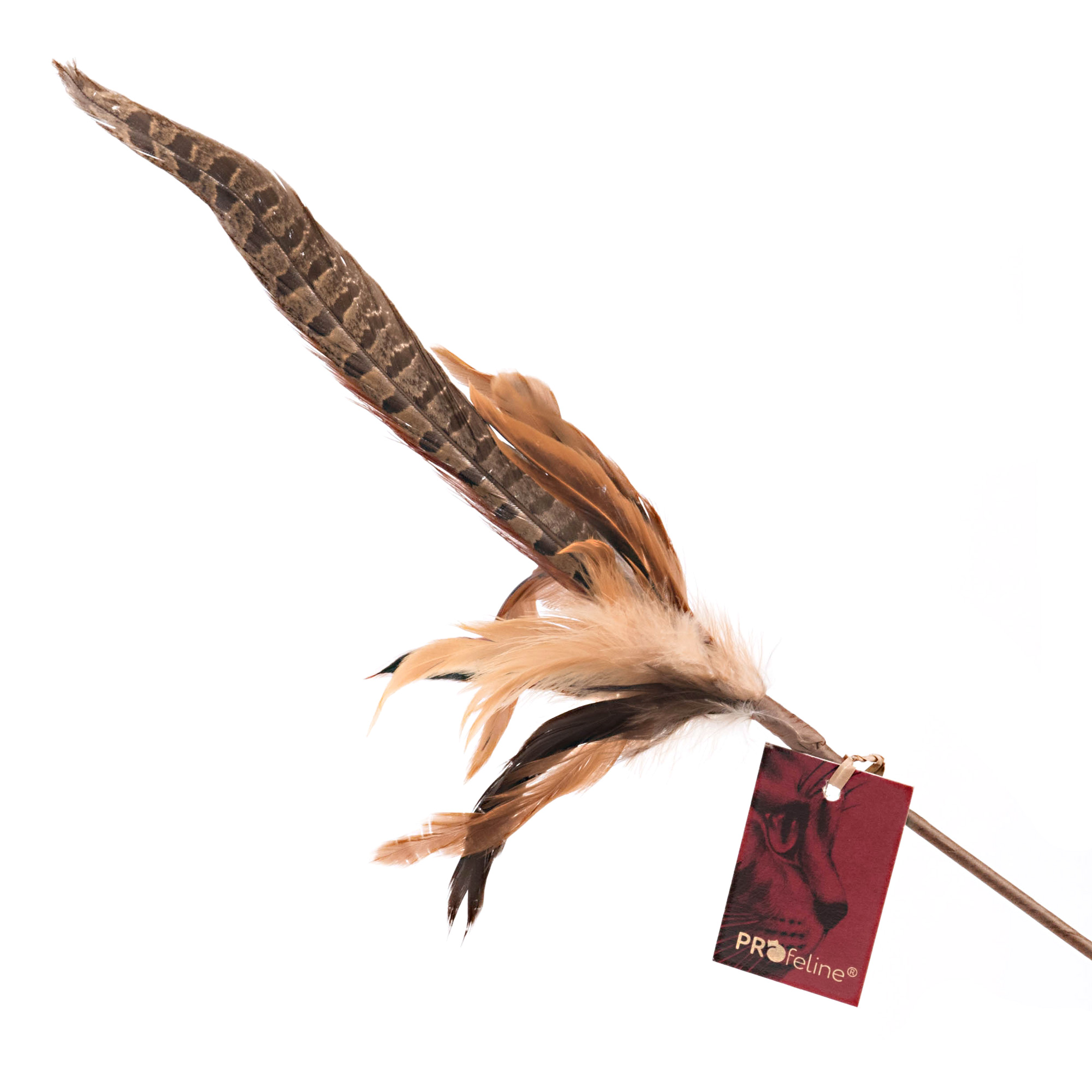 Cat Teaser Pheasant Feather Katzen Federwedel biegsam Fasan