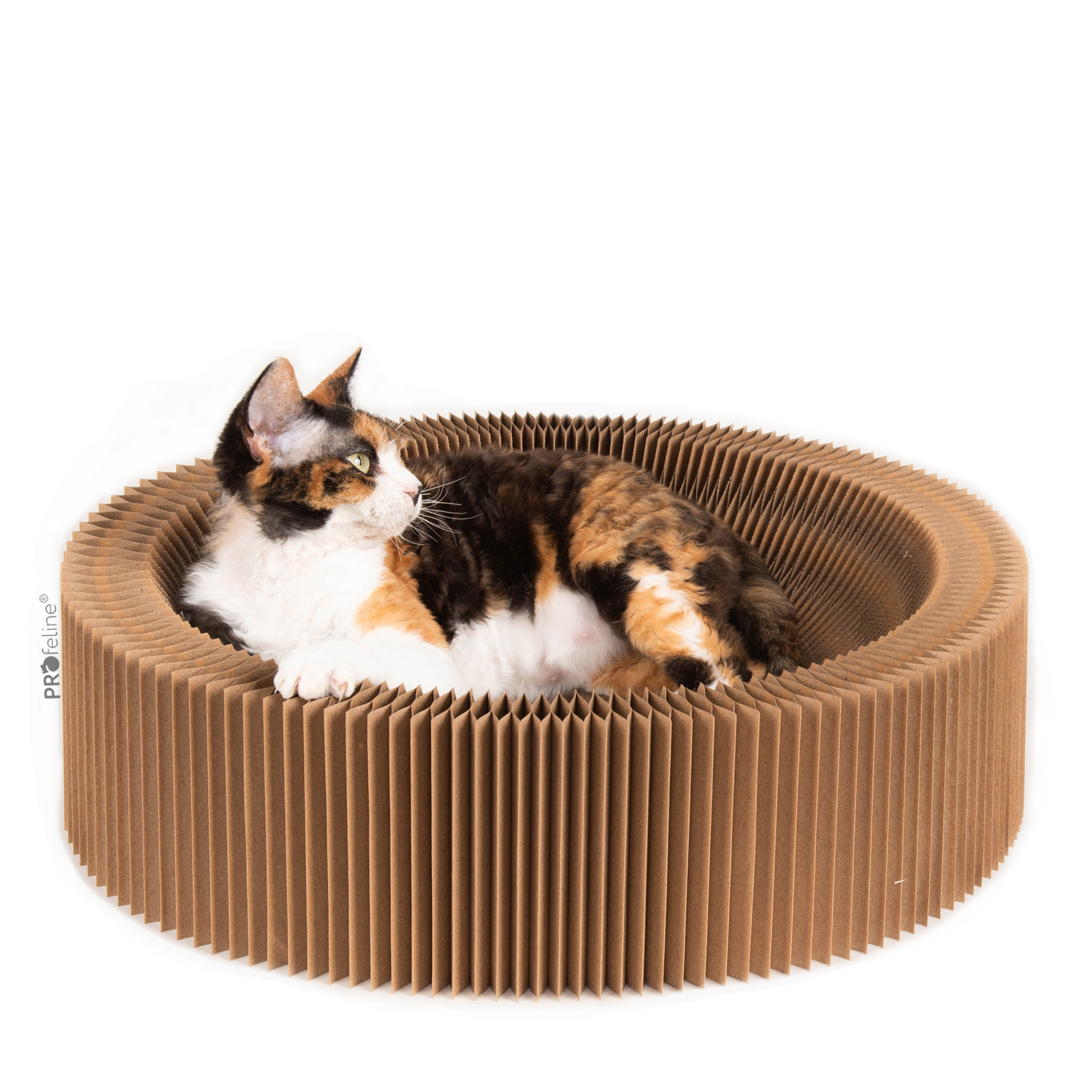 Cat Bed Accordeon Katzenbett Zieharmonika