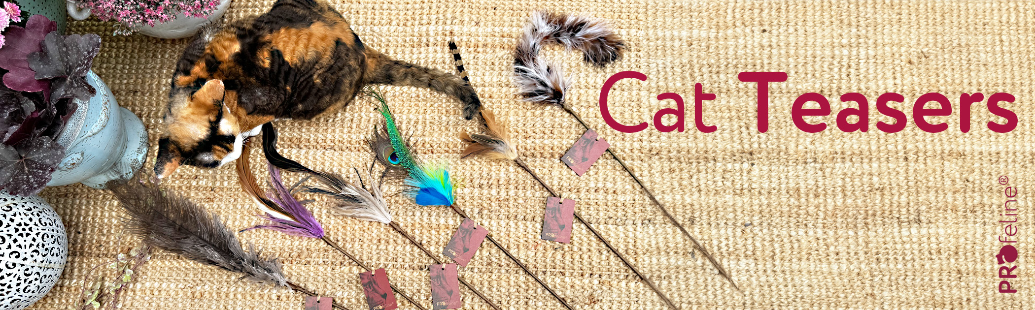 Cat Teaser Cat Wand Cat Shop