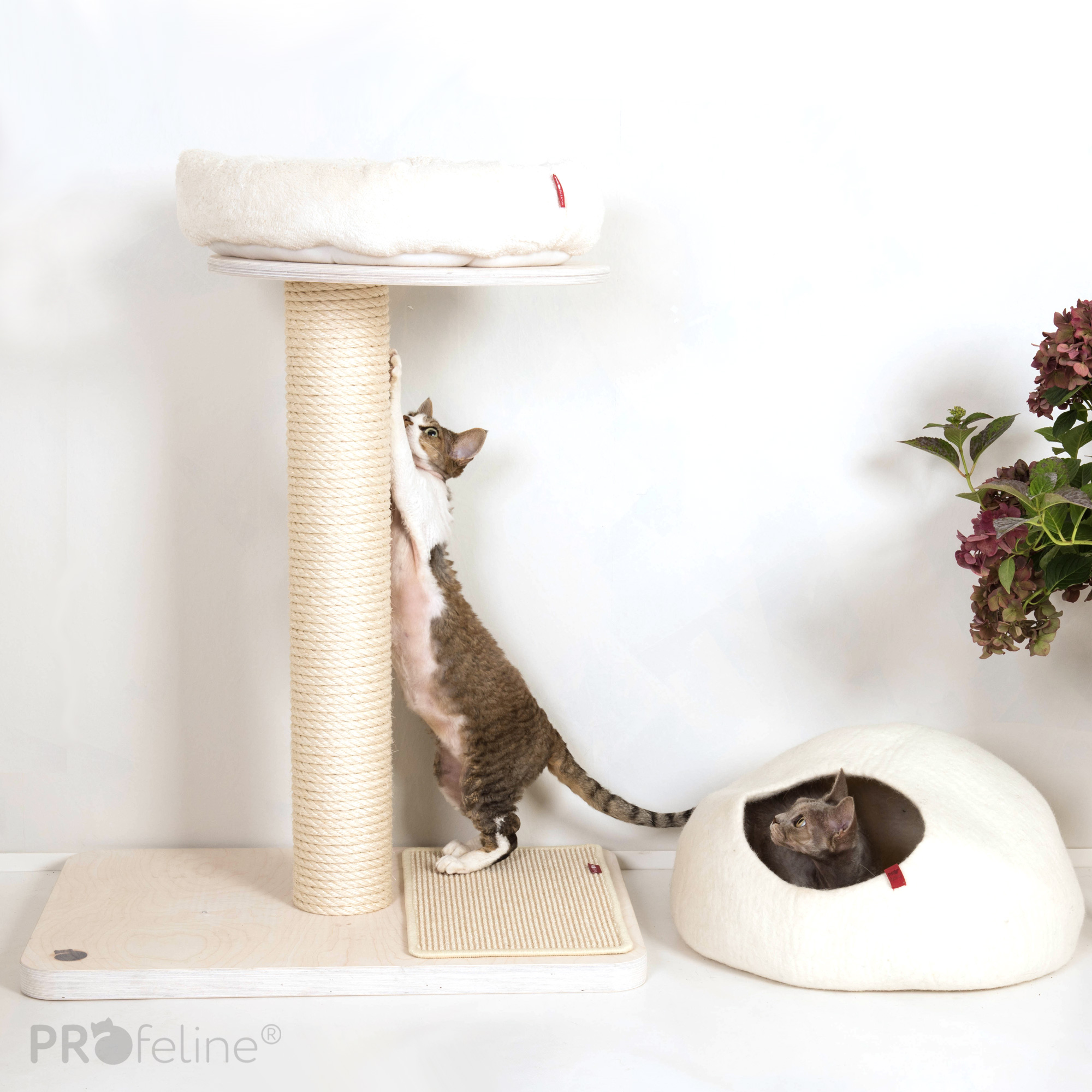 Sturdy 1-Trunk Cat Tree - Resting Space and Play Area for Your Cat