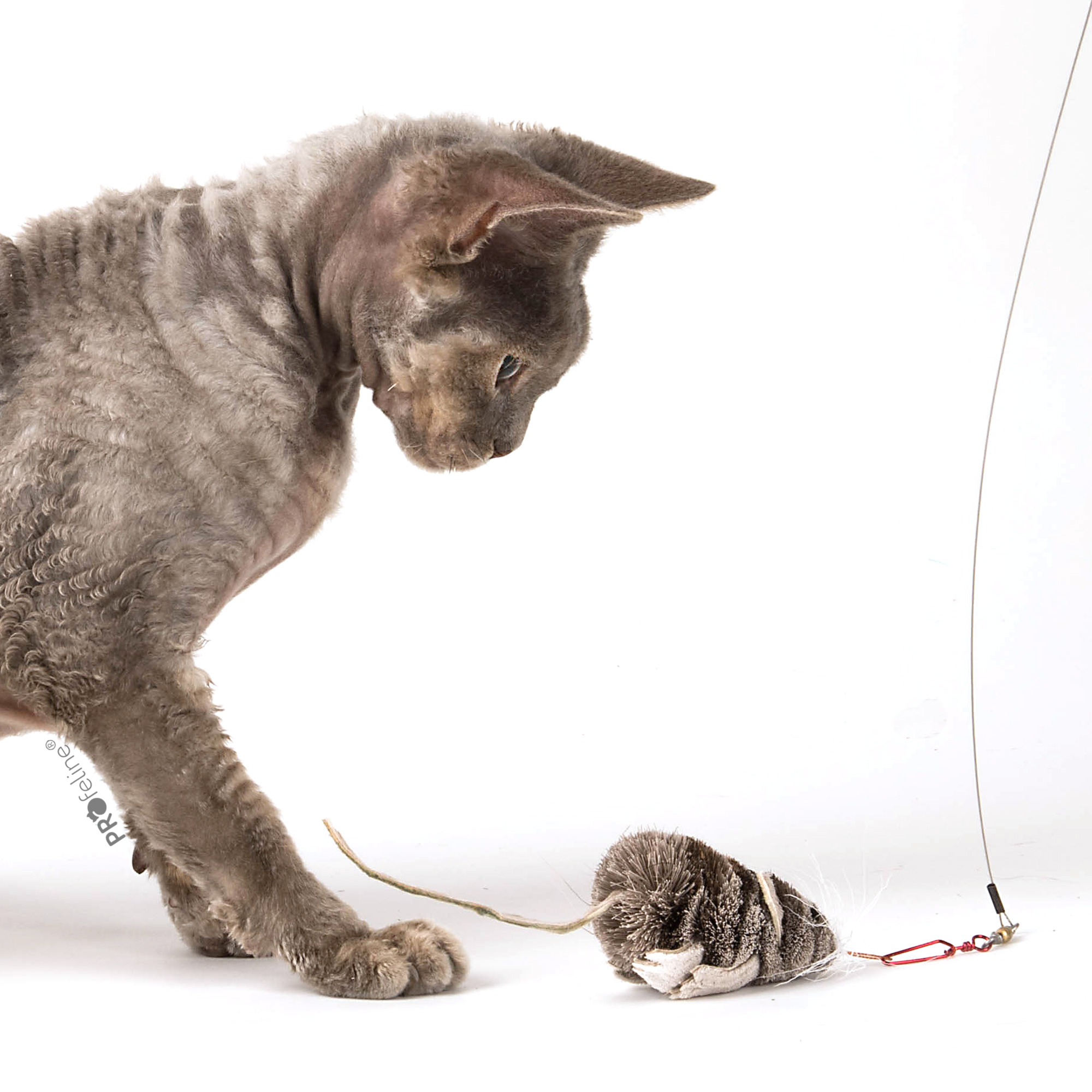 Profeline - Nibbles the Mouse Refill Ersatzanhänger für Katzeangel Maus Nibbles