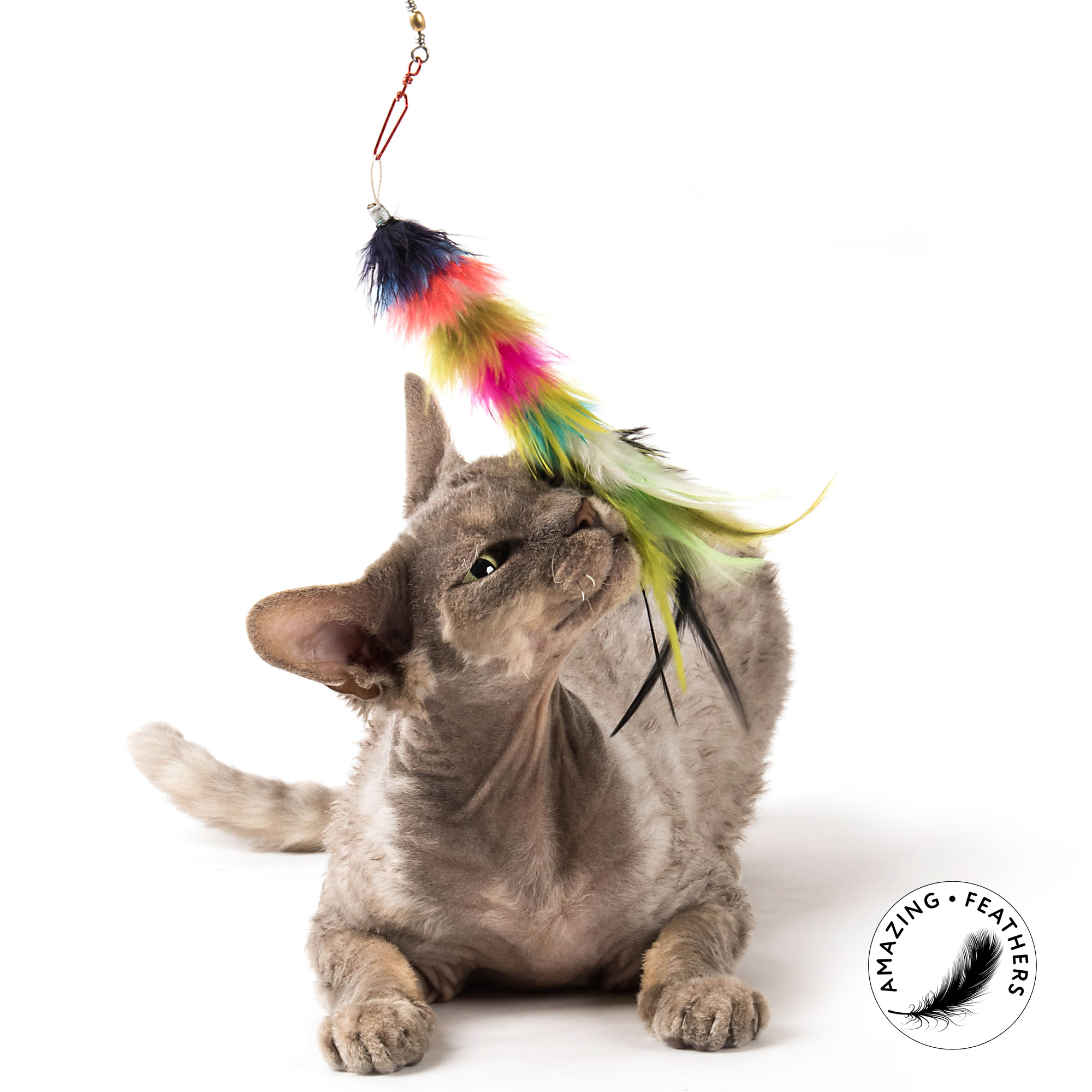 cat-toy-refill-colorful-set-marabou-katze Profeline - Colorful Edition Attachment-Set