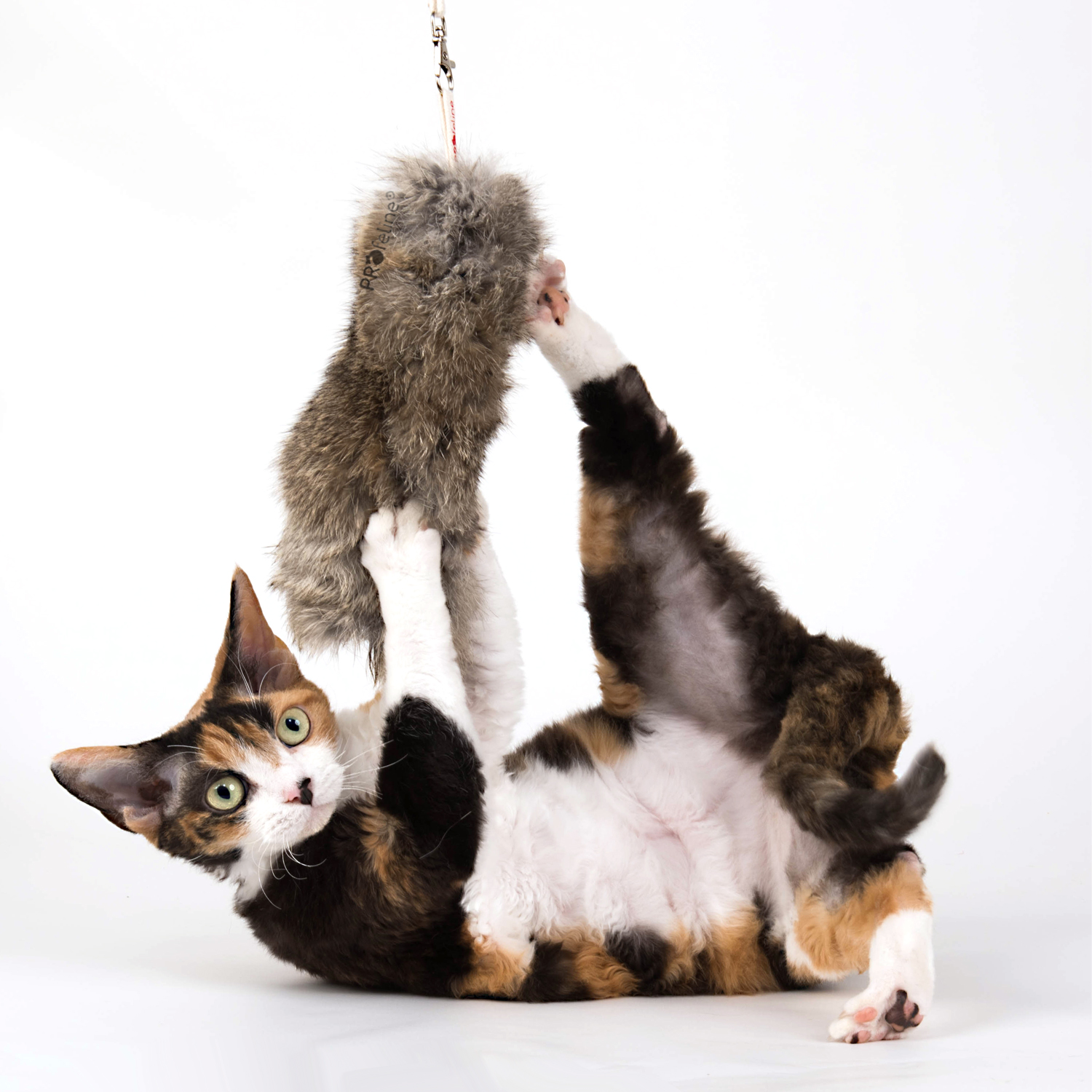 Rabbit Fur BIG Refill Hasenfell Anhänger Big für Katzenageln