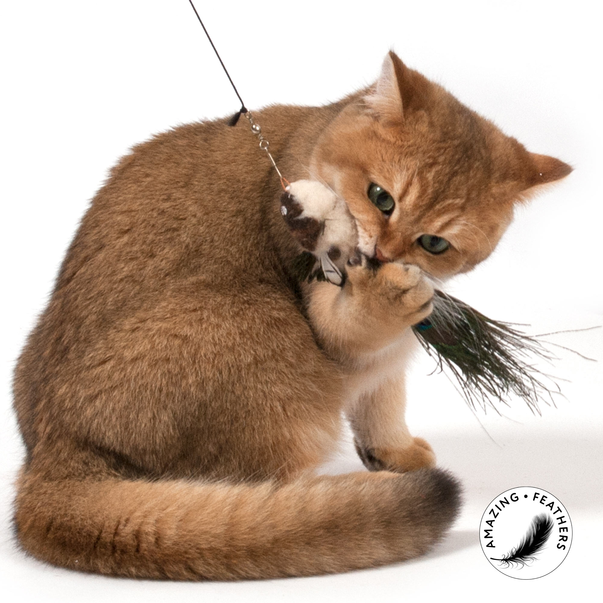 cat-toys-paradise-refill-SP191PR-katze