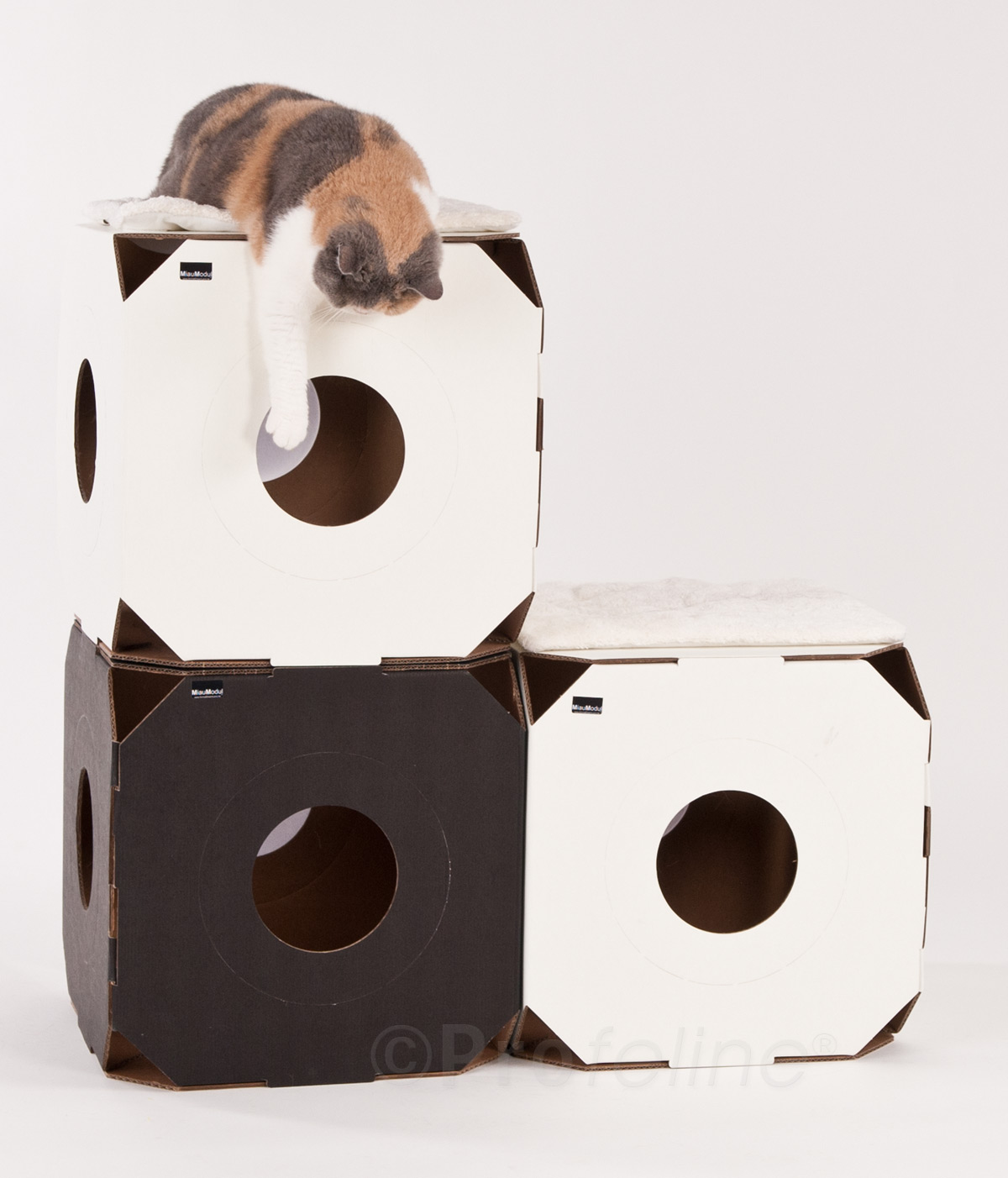 Miau Modul für Pappmöbel für Katzen