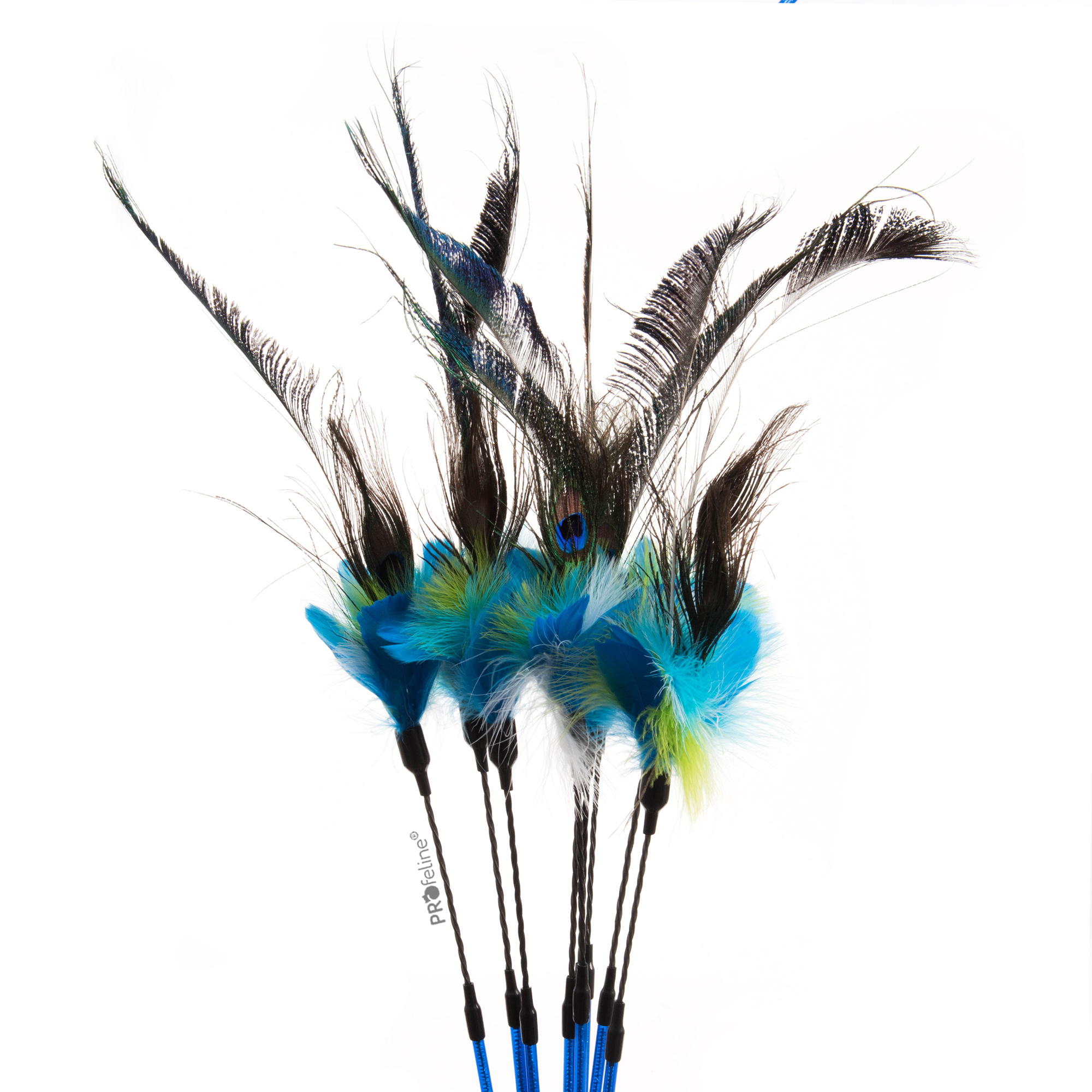 cat-teaser-peacock-feather-dancer