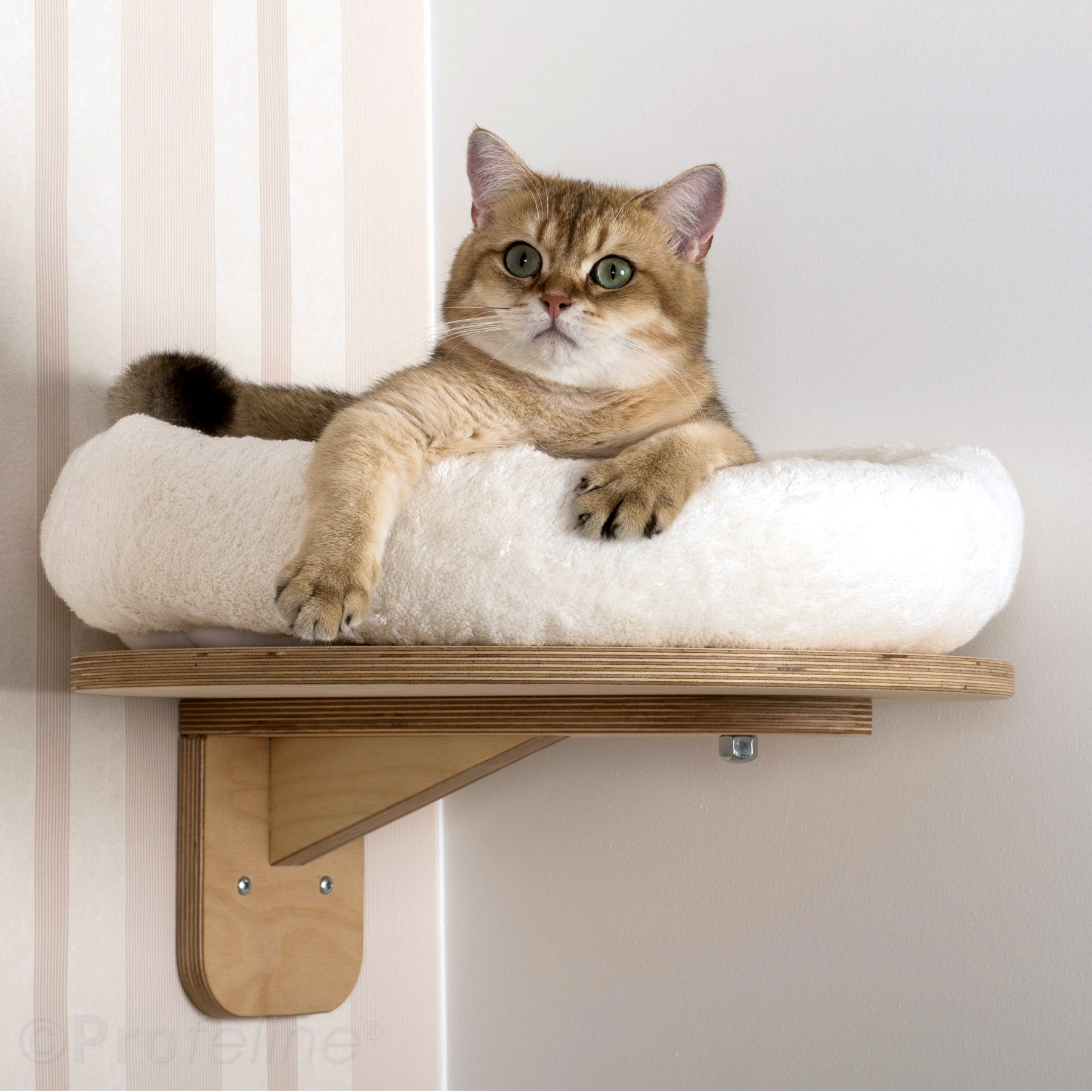 Wandliege Katzenbett waschbar