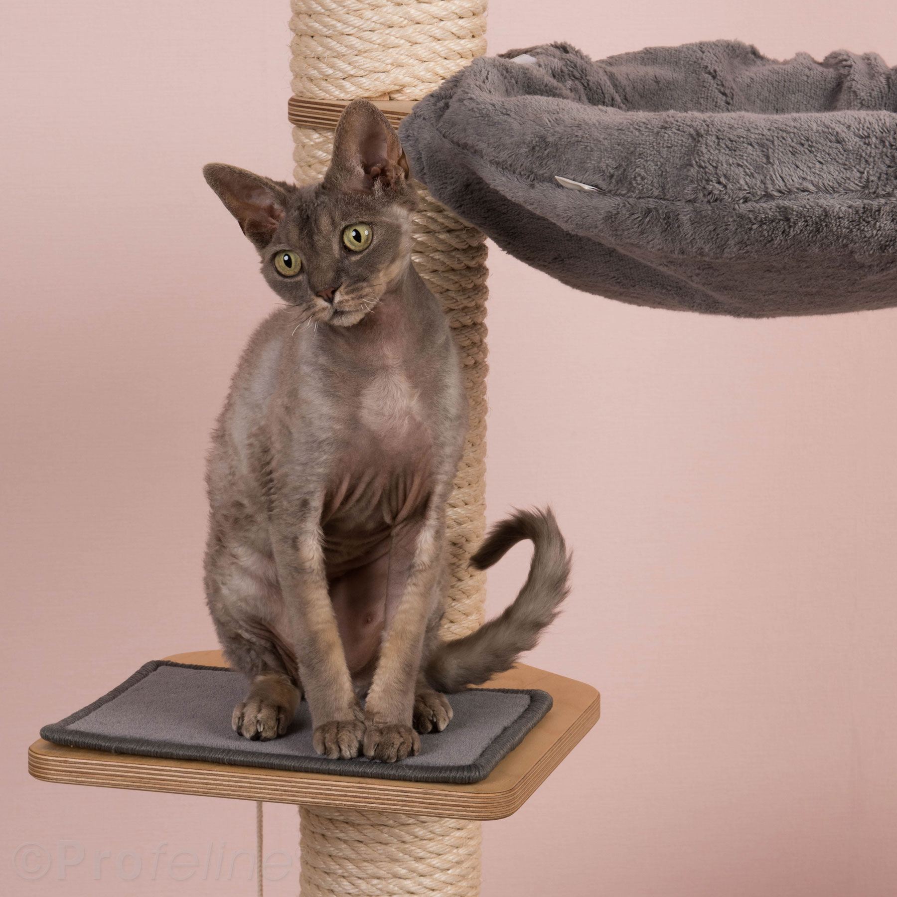 kratzbaum-luna-treppenstufe-detail