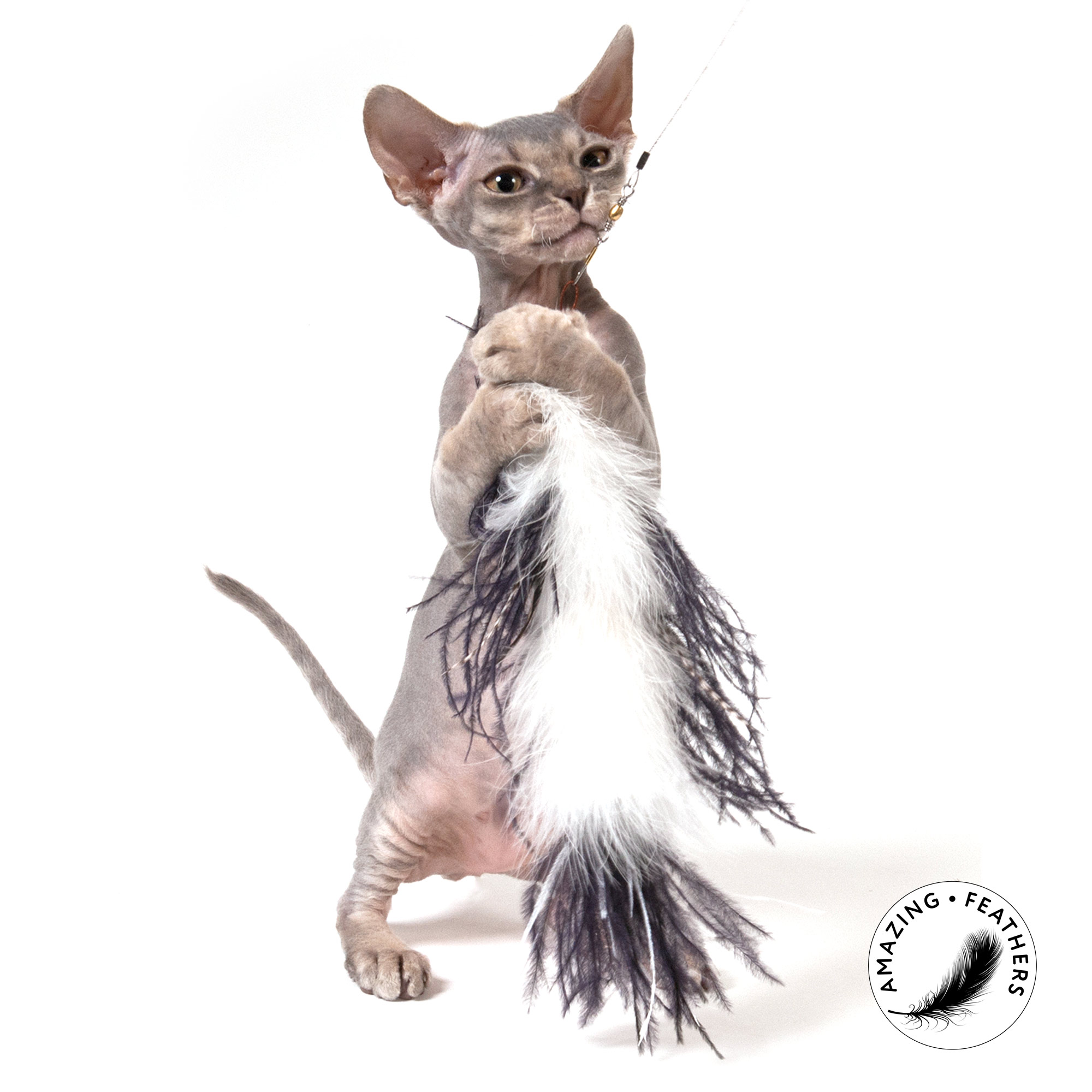 cat-toys-ostrich-refill-SP192OR-1 Profeline - Ostrich Refill
