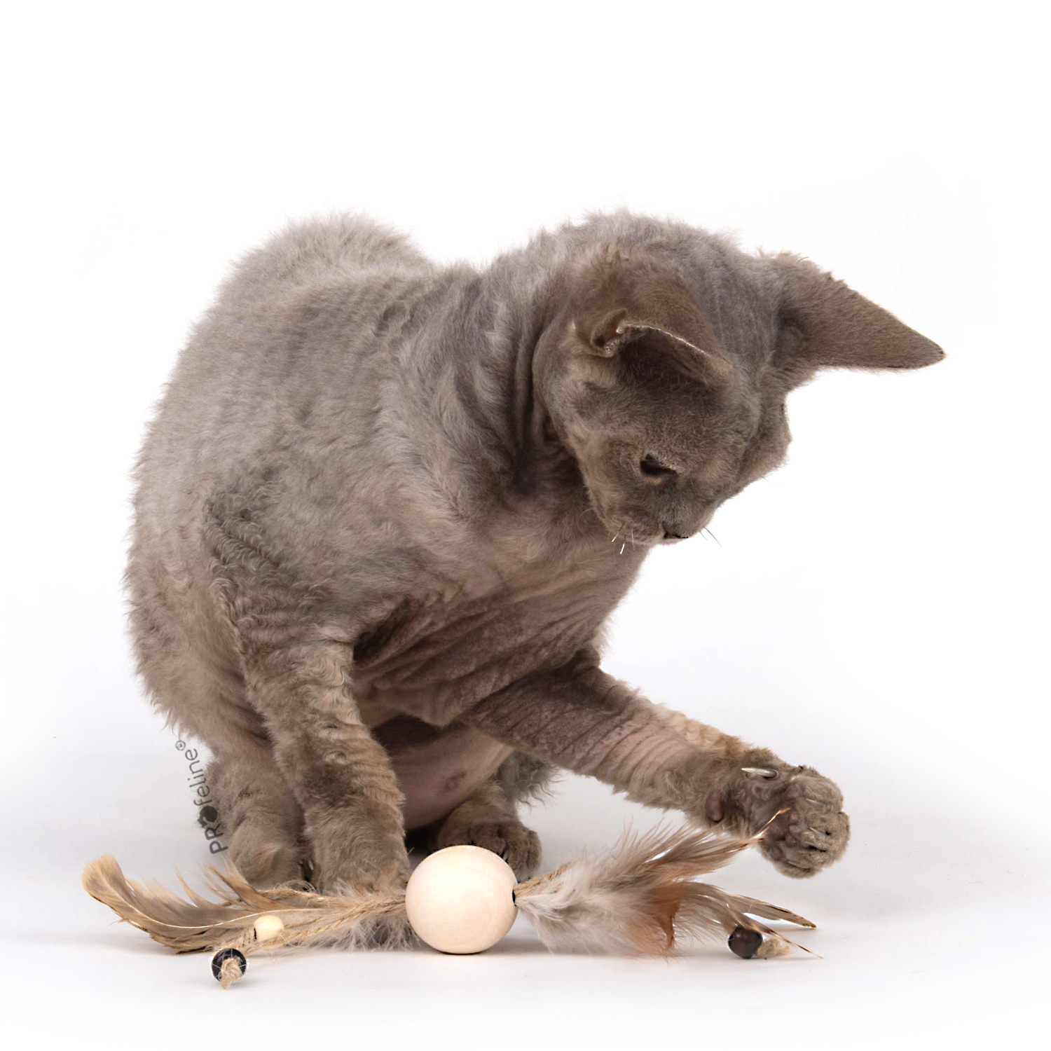 Naturspielzeug Holzkugel mit Federn für Katzen