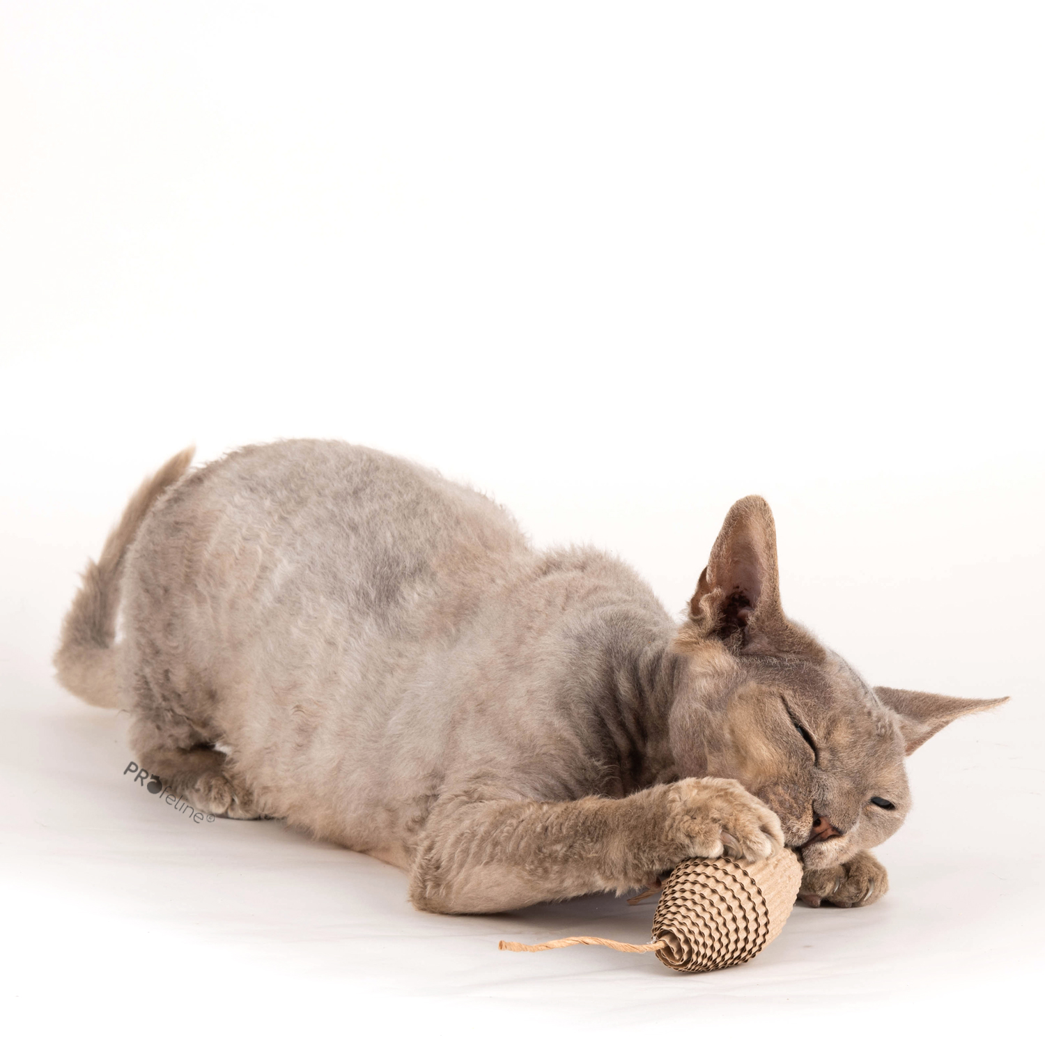 Katzenspielzeug Ball aus Karton