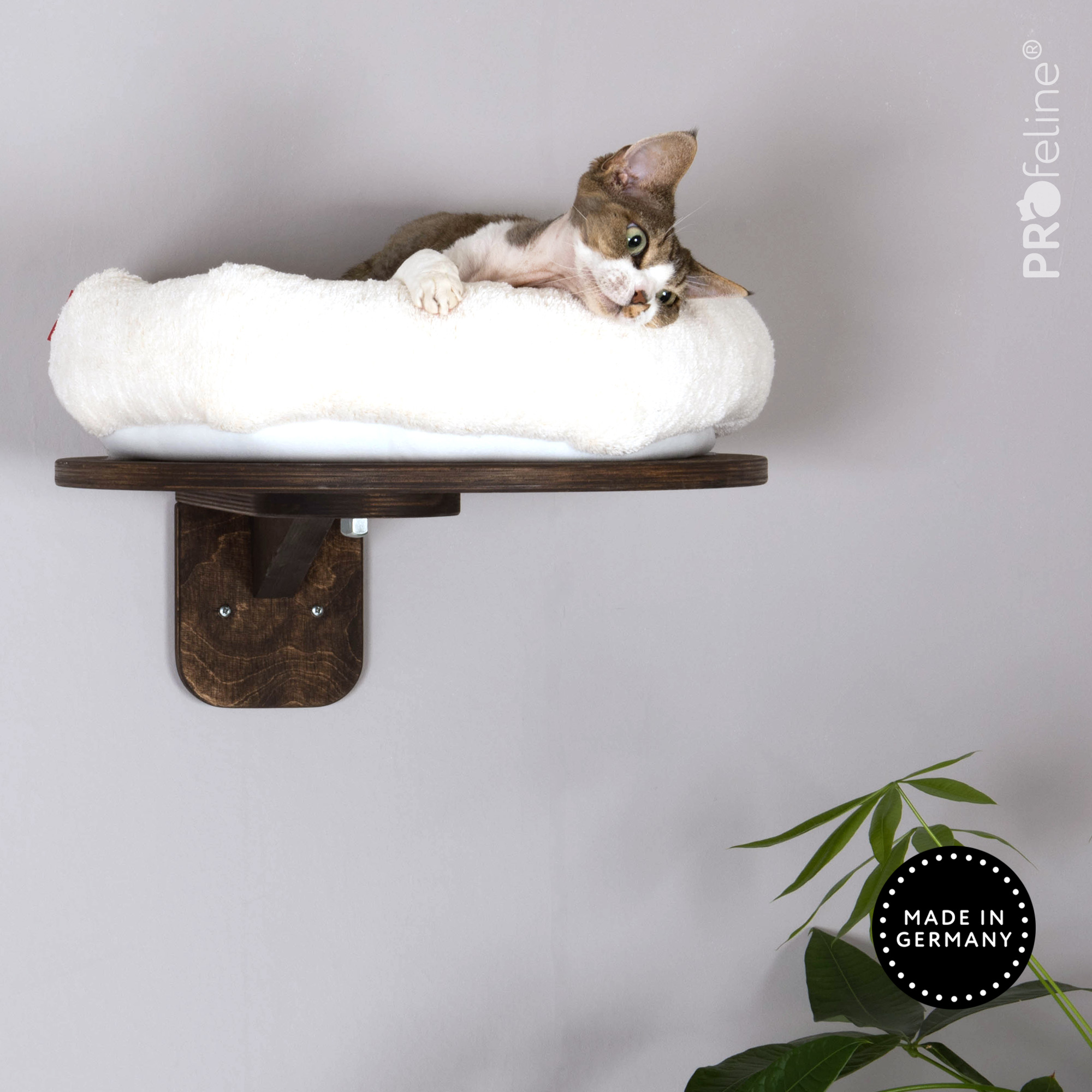 Katzen Wandliege Katzen Wandliege Katzenbett