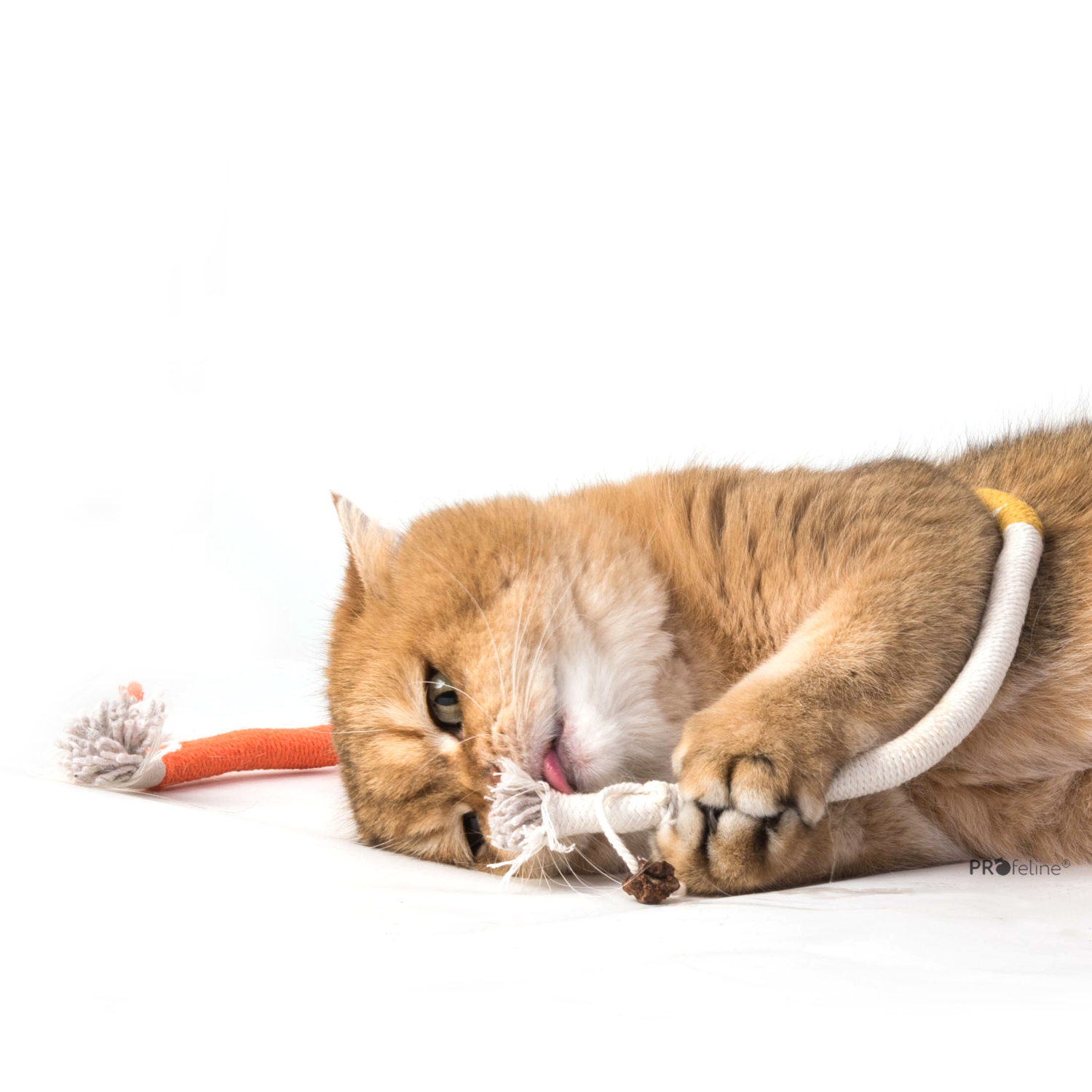 Cotton Play Rope Katzen Spielkordel mit Matatabi Frucht