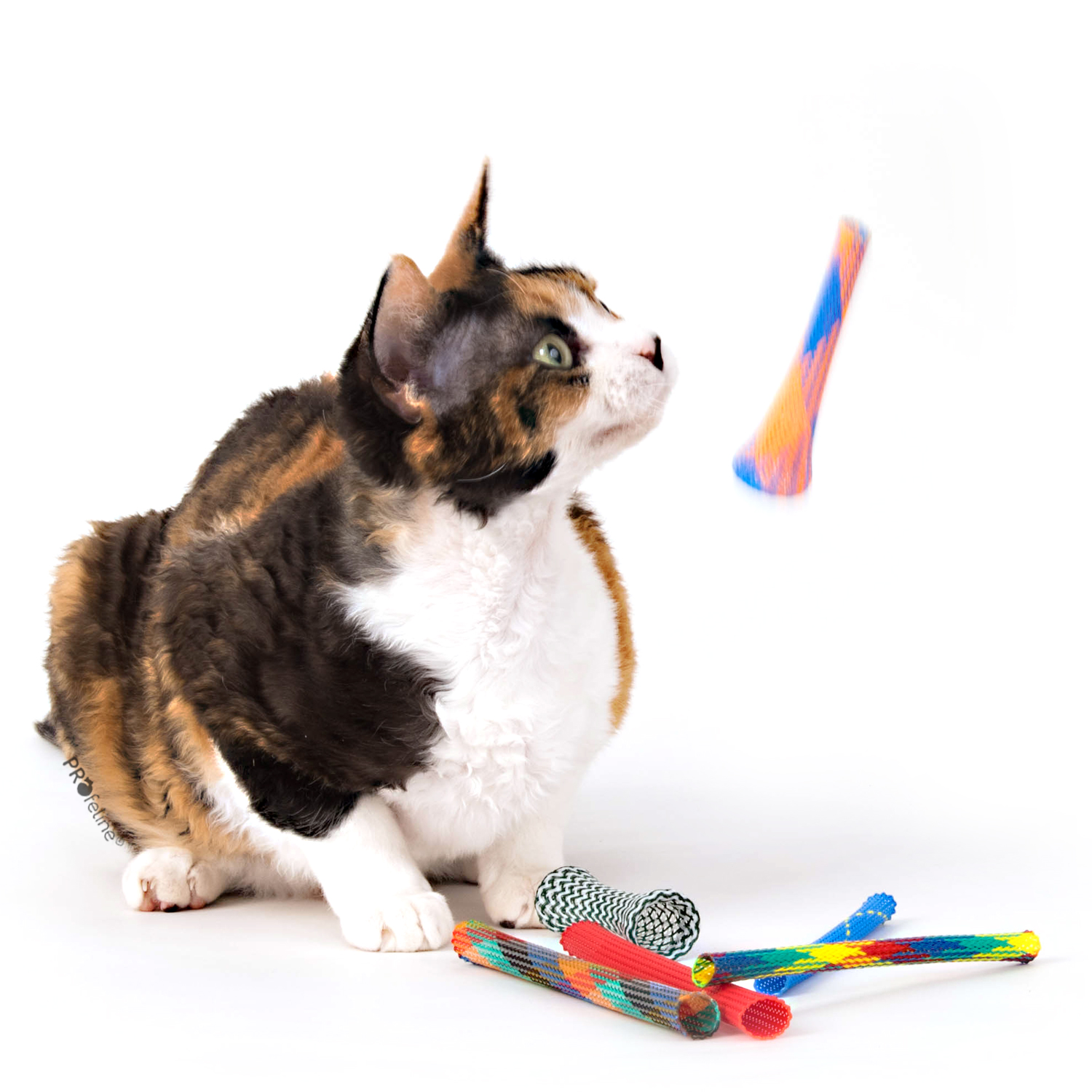 Kitty Boinks Nylon Rollen Katzenspielzeug aus den USA