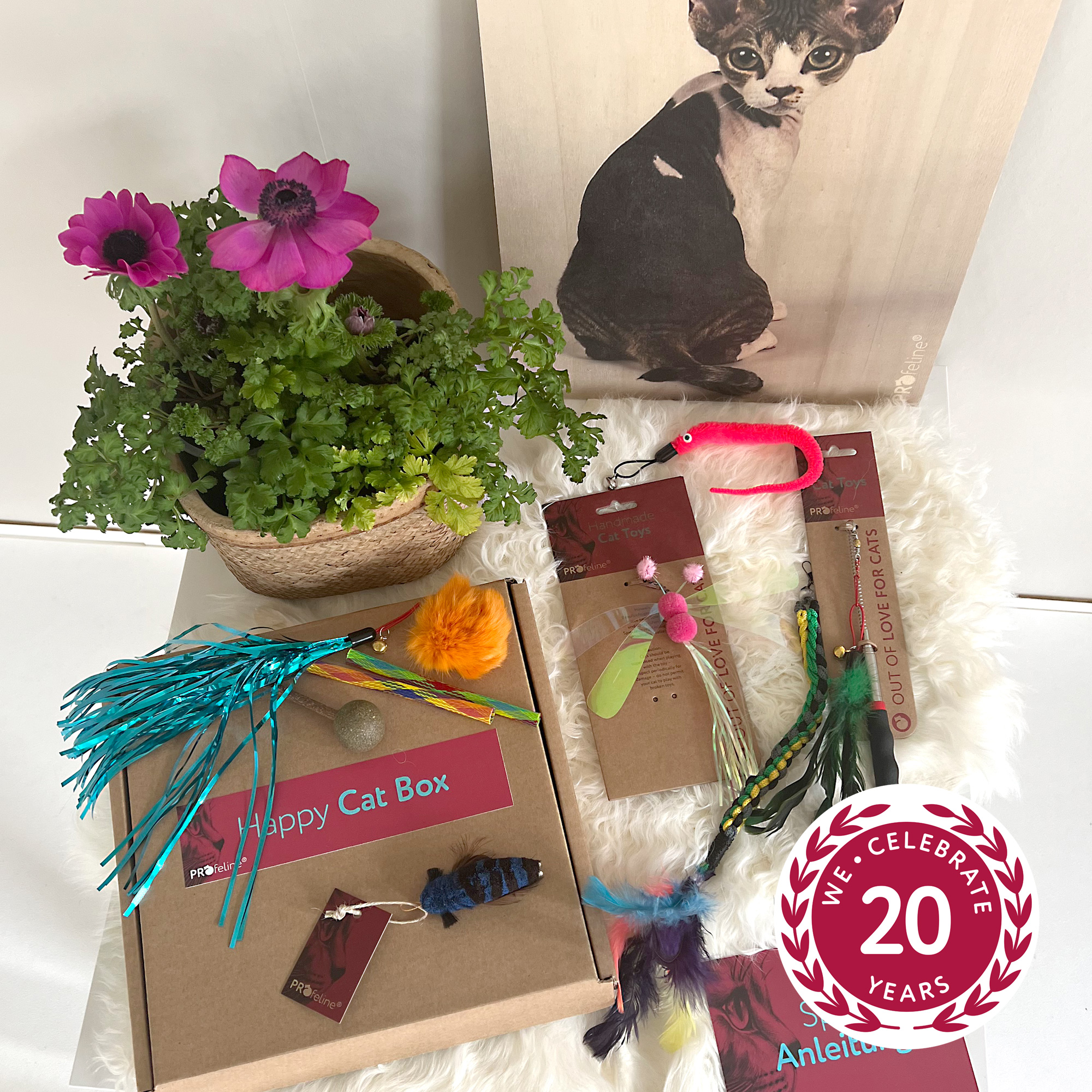 Profeline Happy Cat Box - Colorful