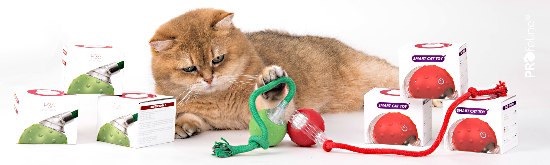 Katzenspielzeug Elektrisch USB