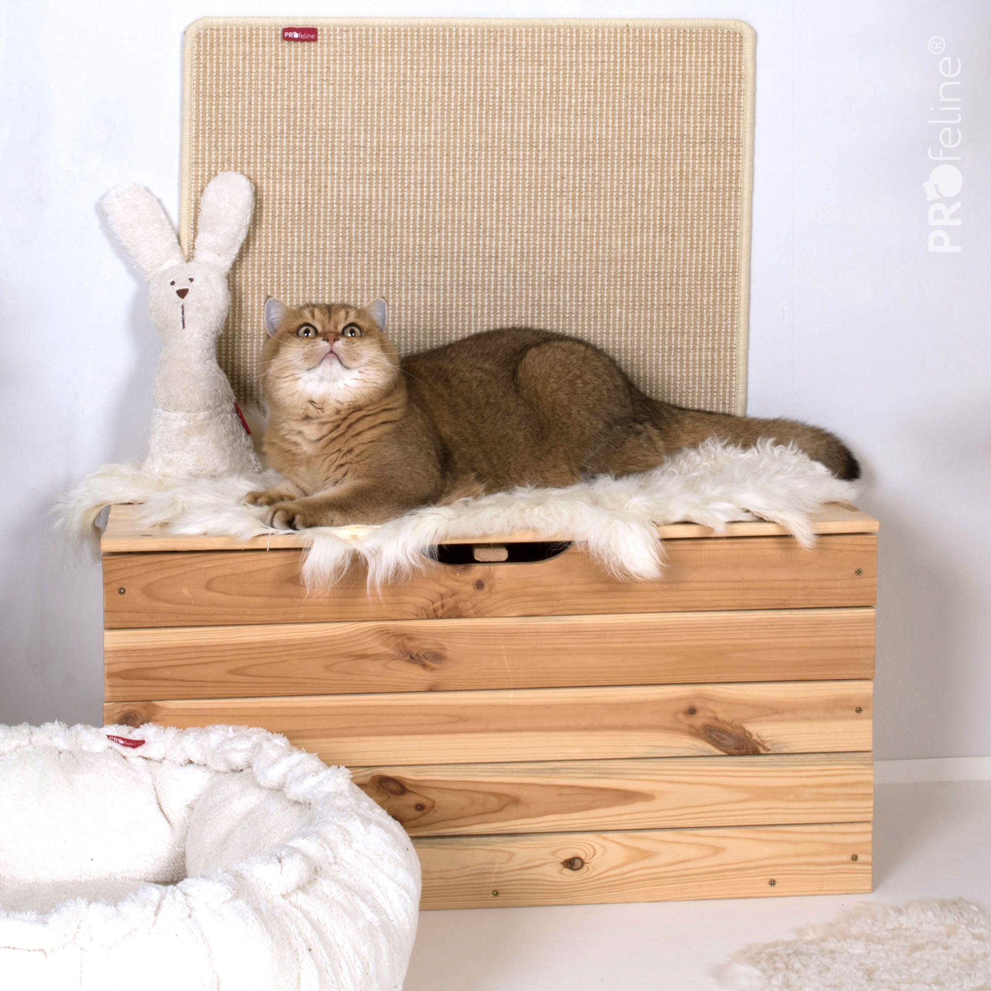 Iceland Lambskin Original Shape Katzenzimmer einrichten