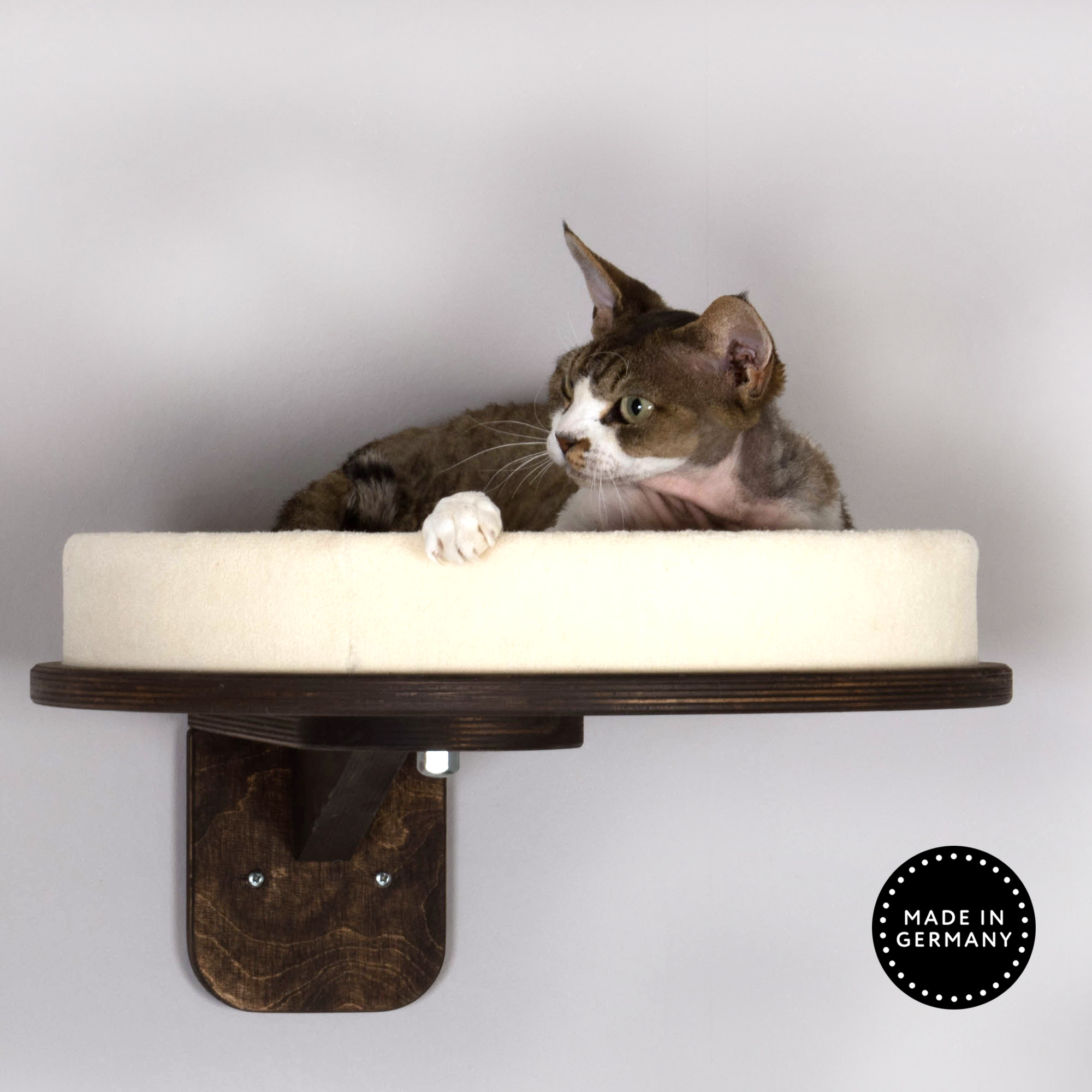 Katzen Wandliege Katzen Wandliege stabil