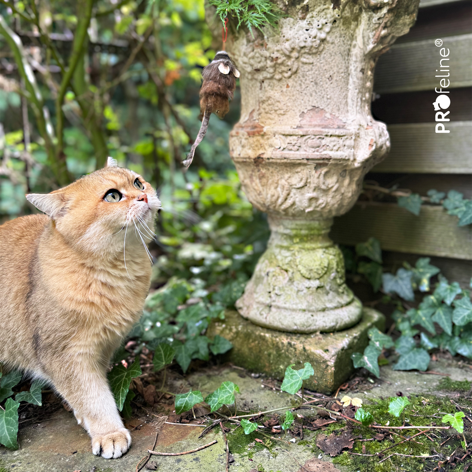 Katzenspielzeug Maus im Garten