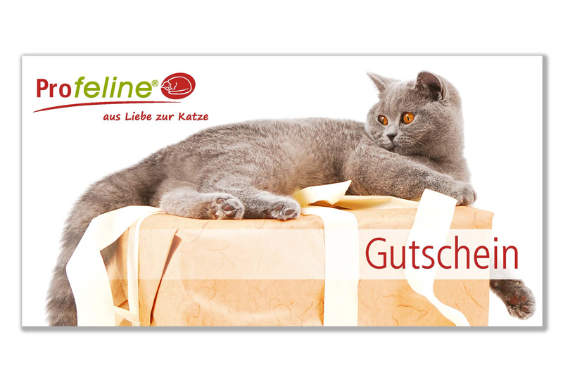 Gutschein für Katzenbesitzer