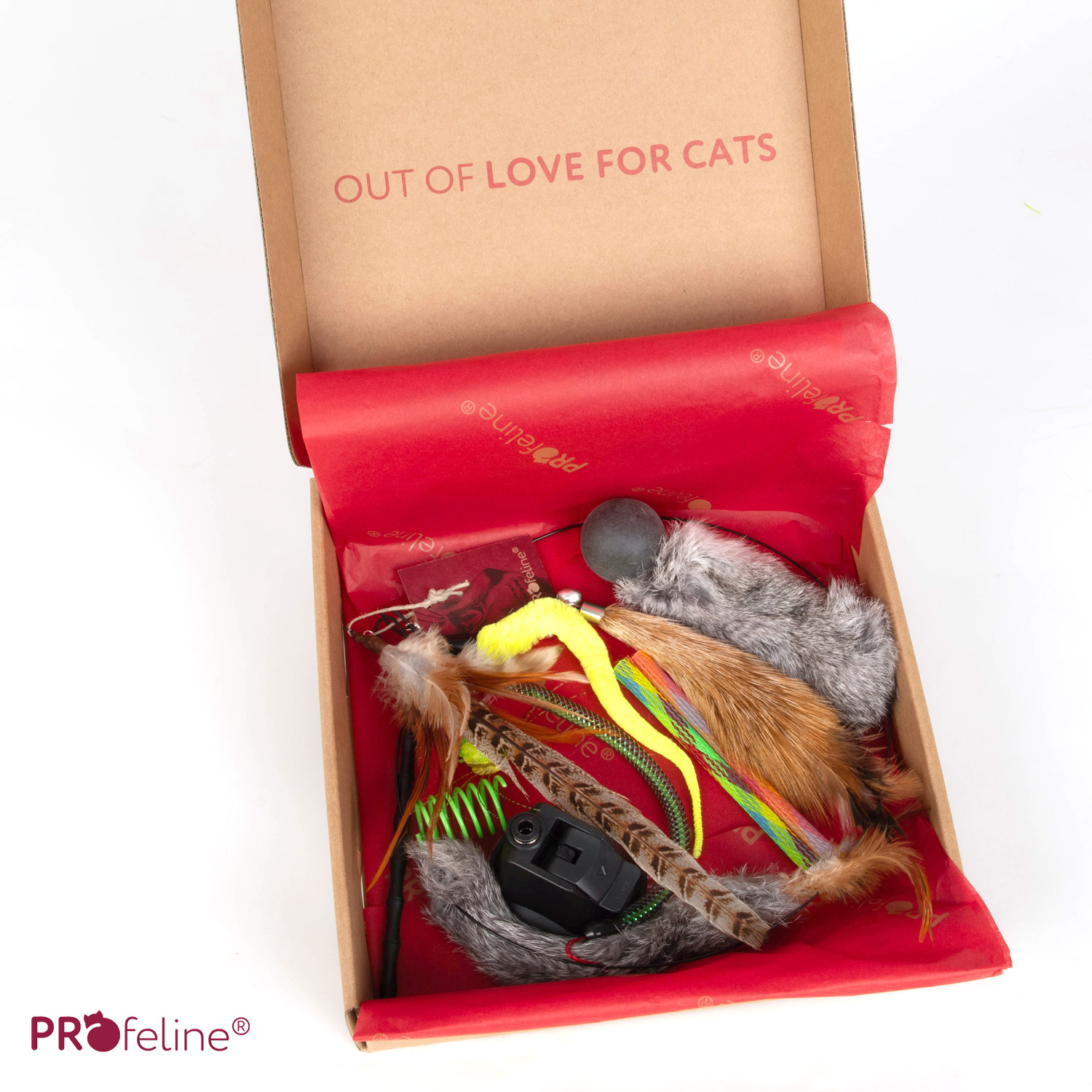 Interaktive Katzenangel mit Bestsellern von Katzen getestet