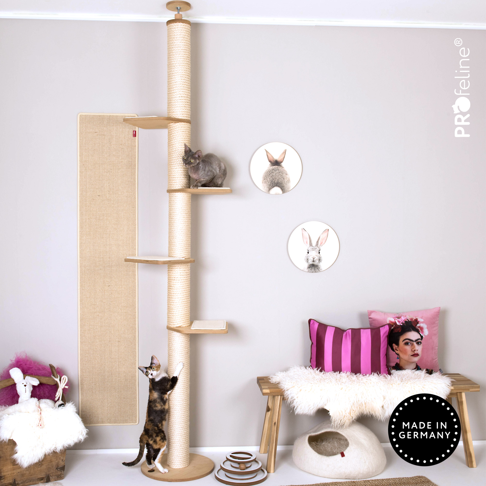 Cat Climbing Tree Birch Carpet Natural