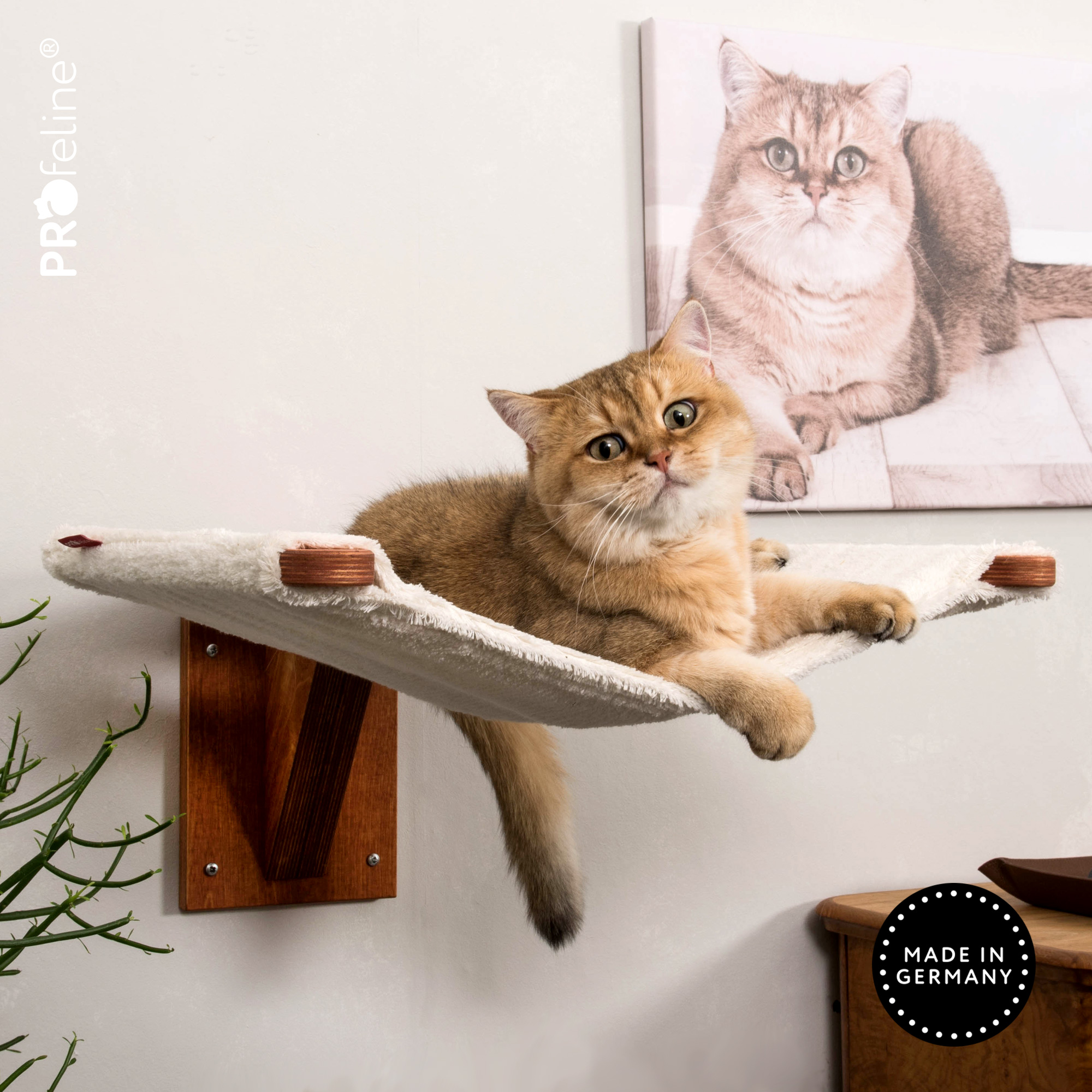 Wall Mounted with Hammock LE3 Katzen Wandhängematte sand