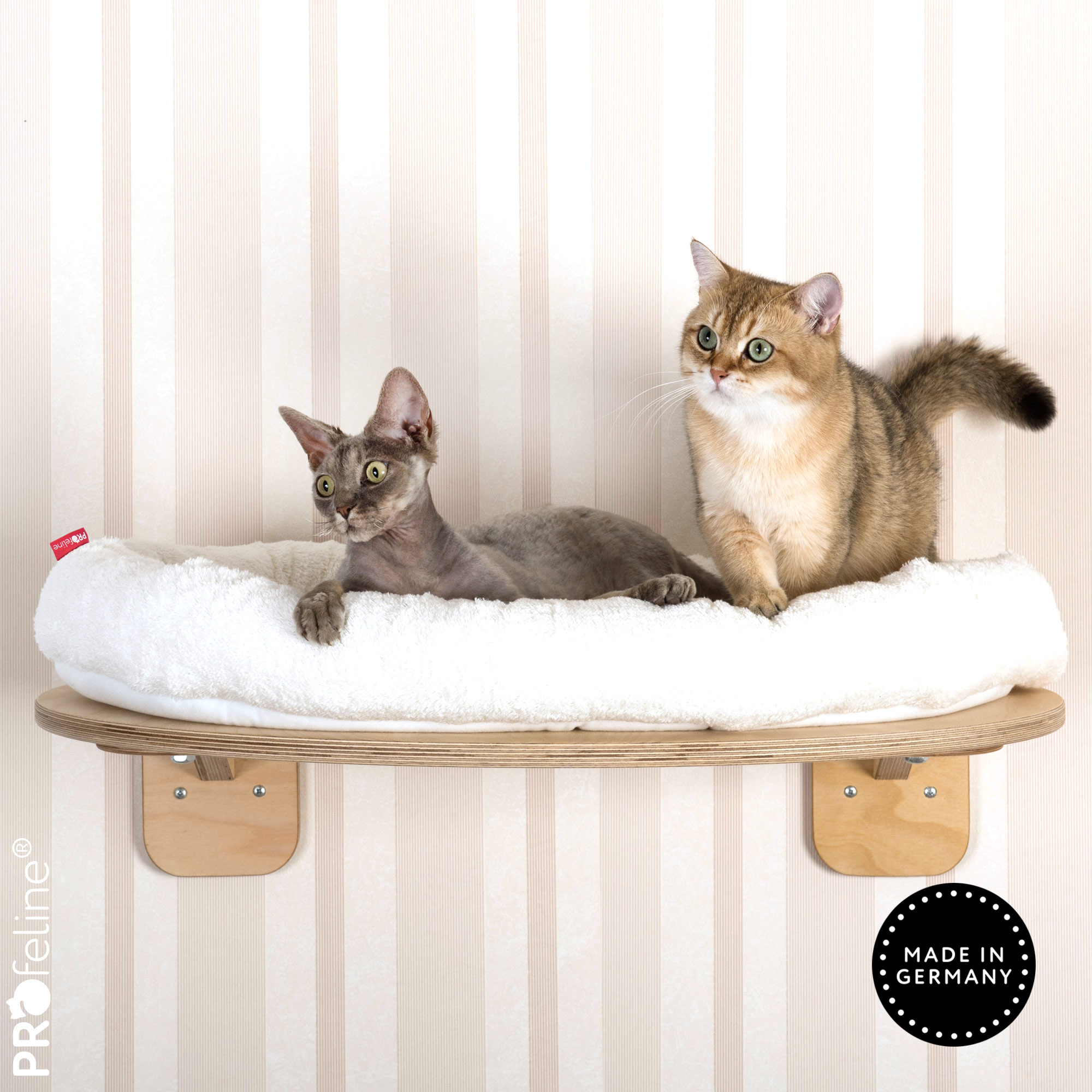 Grosse Katzen Wandliege