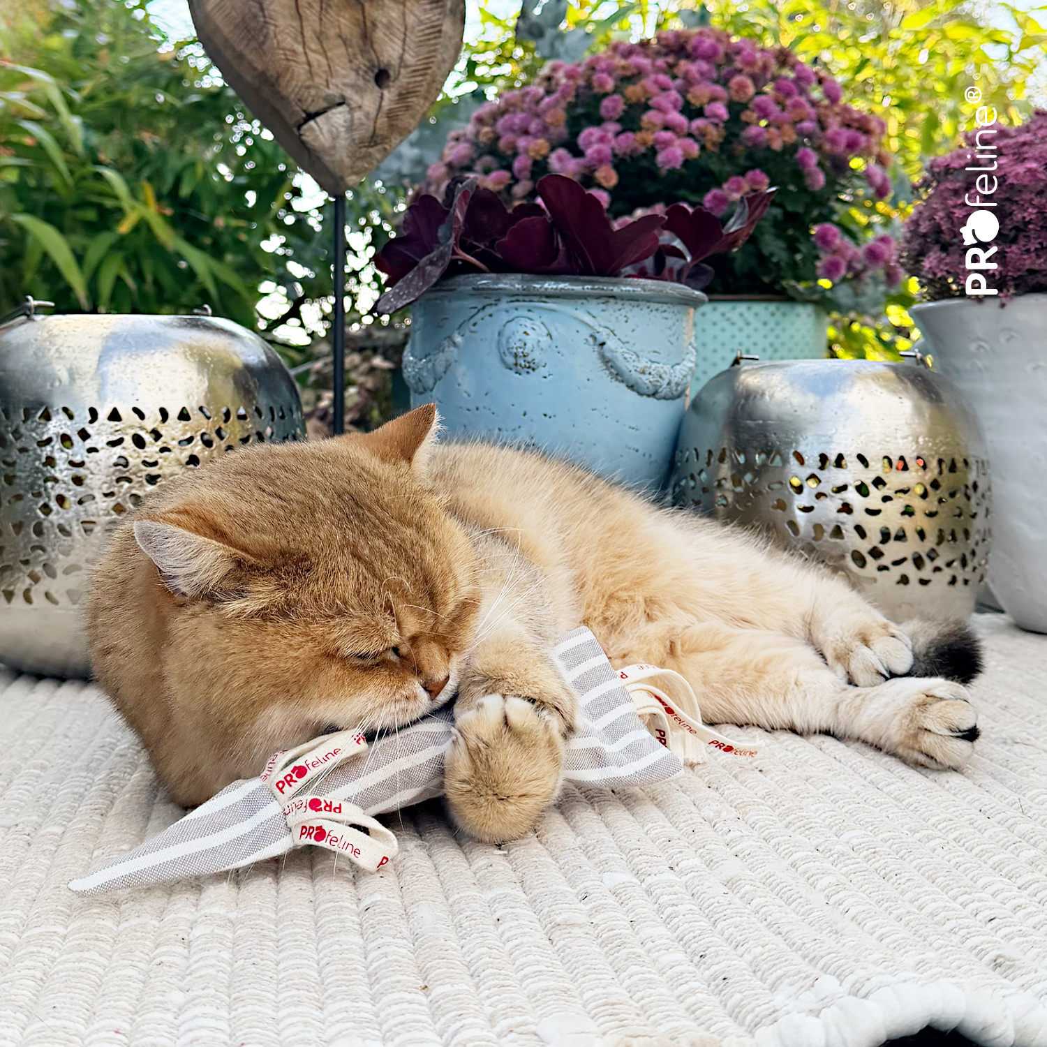 Organic Cotton Sir Mouselot - Refillable Cat Toy Mouse refillable nachfüllbar